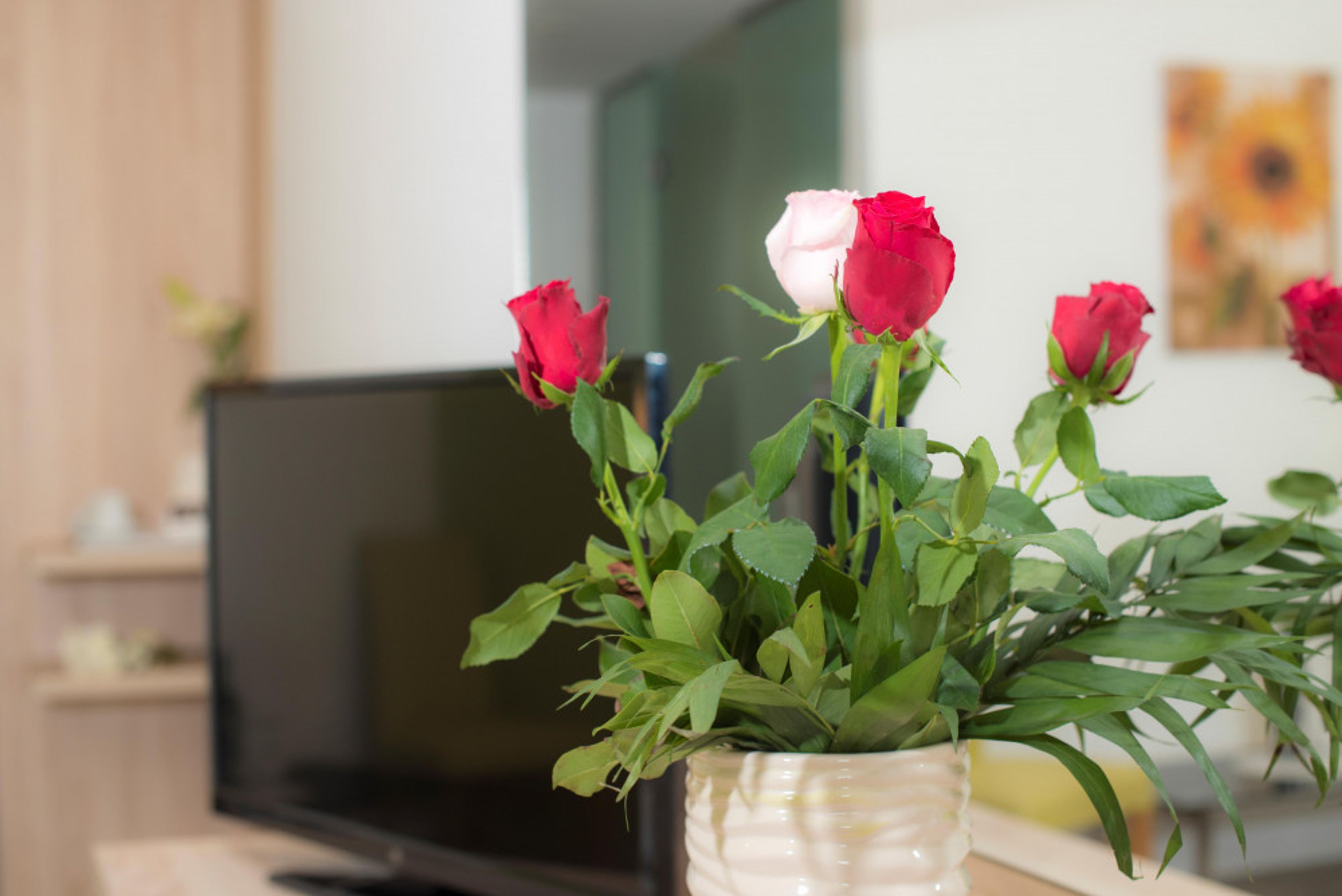 Eurovillage Achilleas foto 1