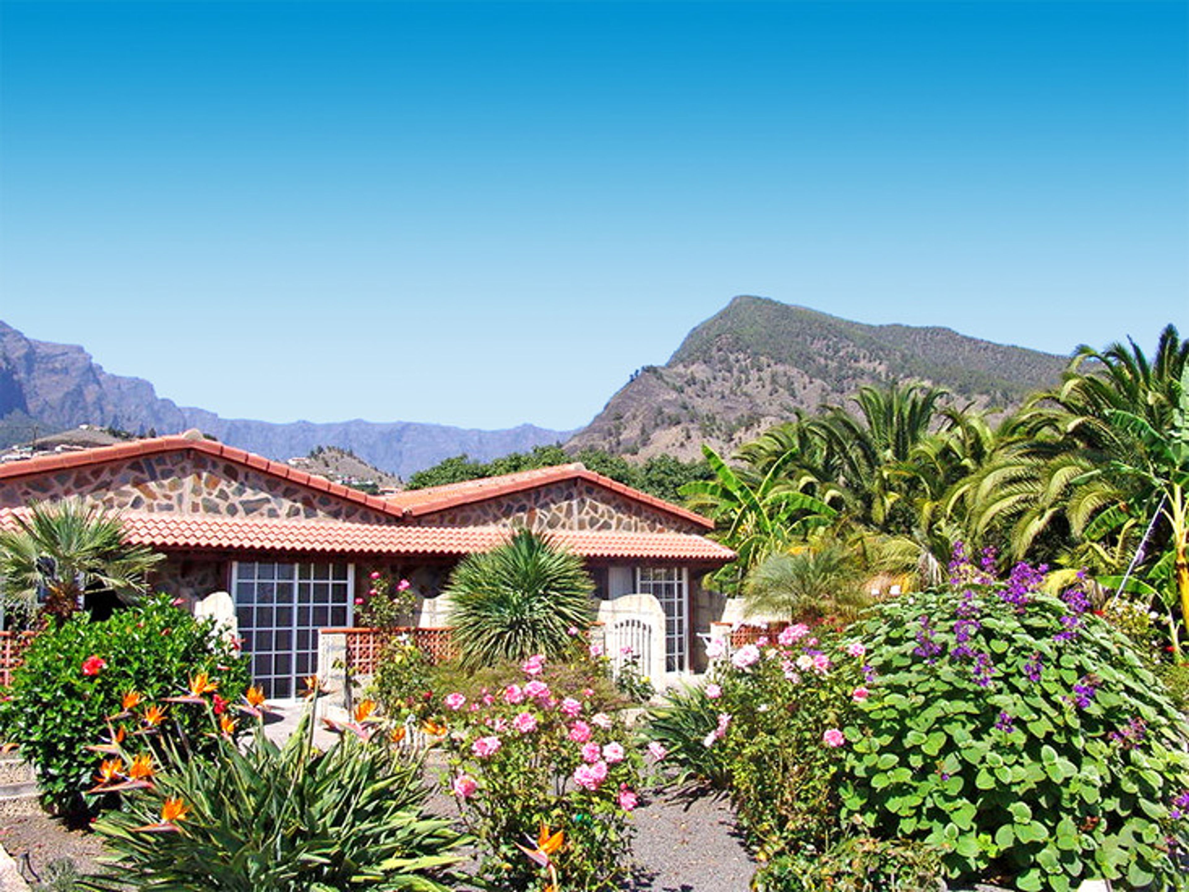El Palmeral foto 3