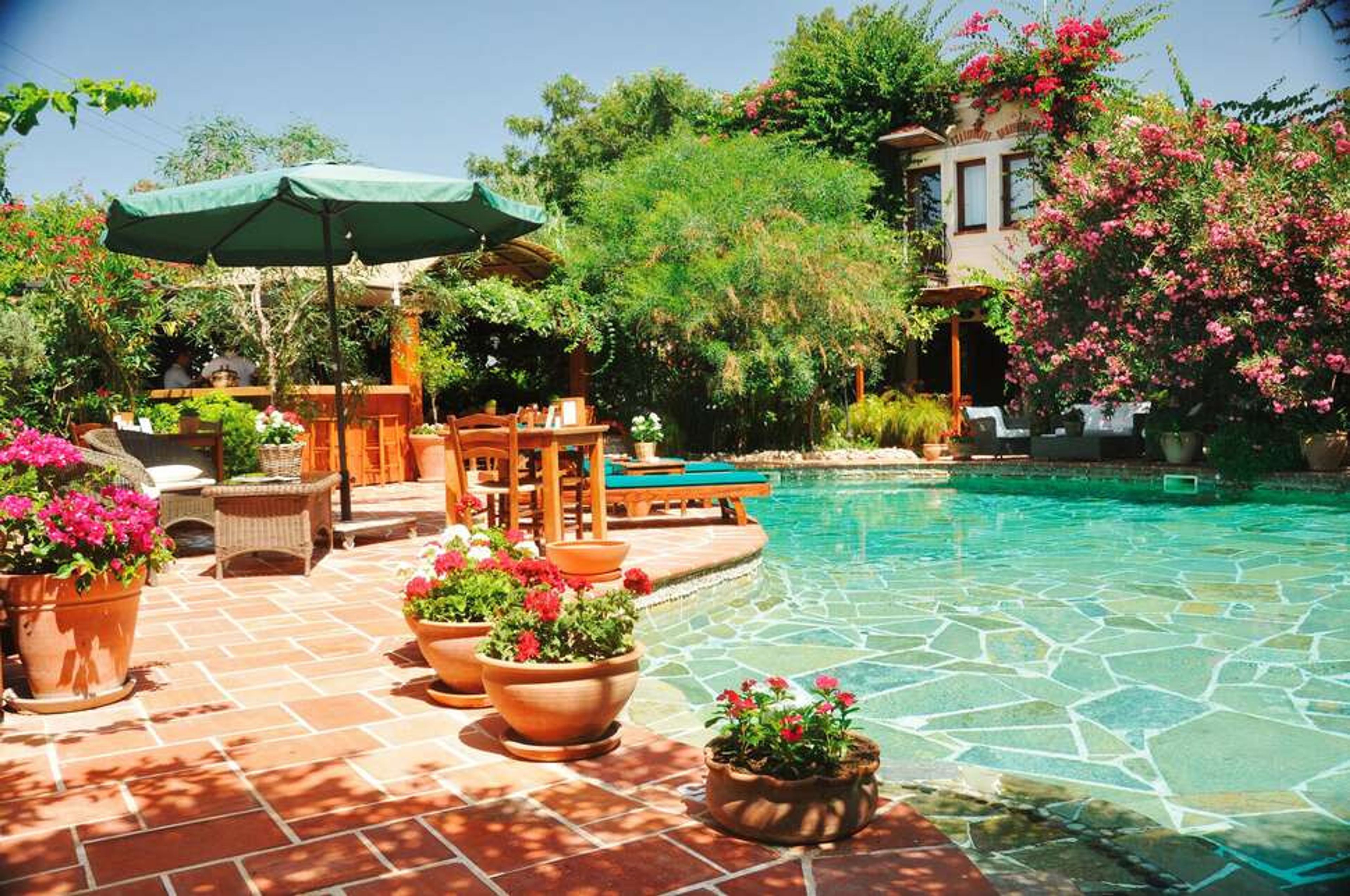 El Vino en Suites foto 4