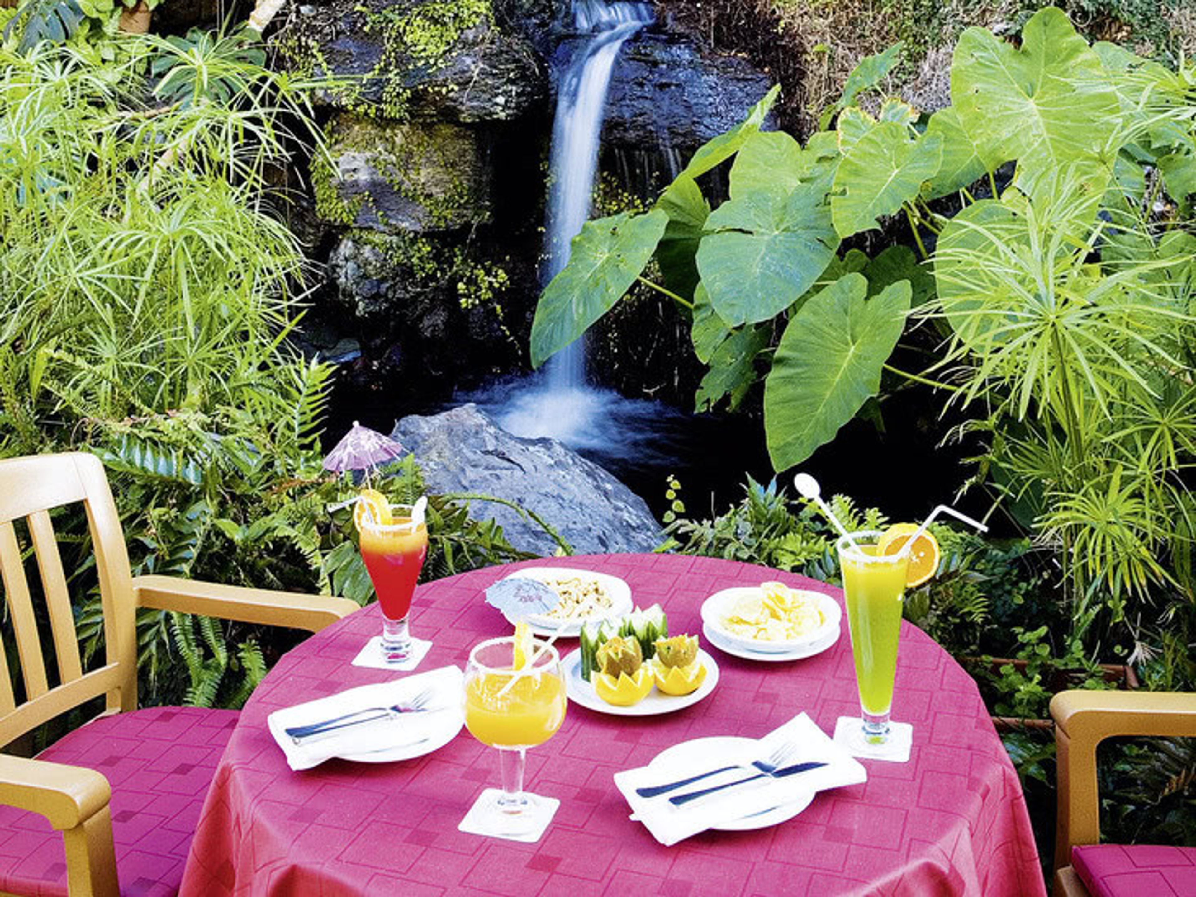 FERGUS Puerto de la Cruz foto 3