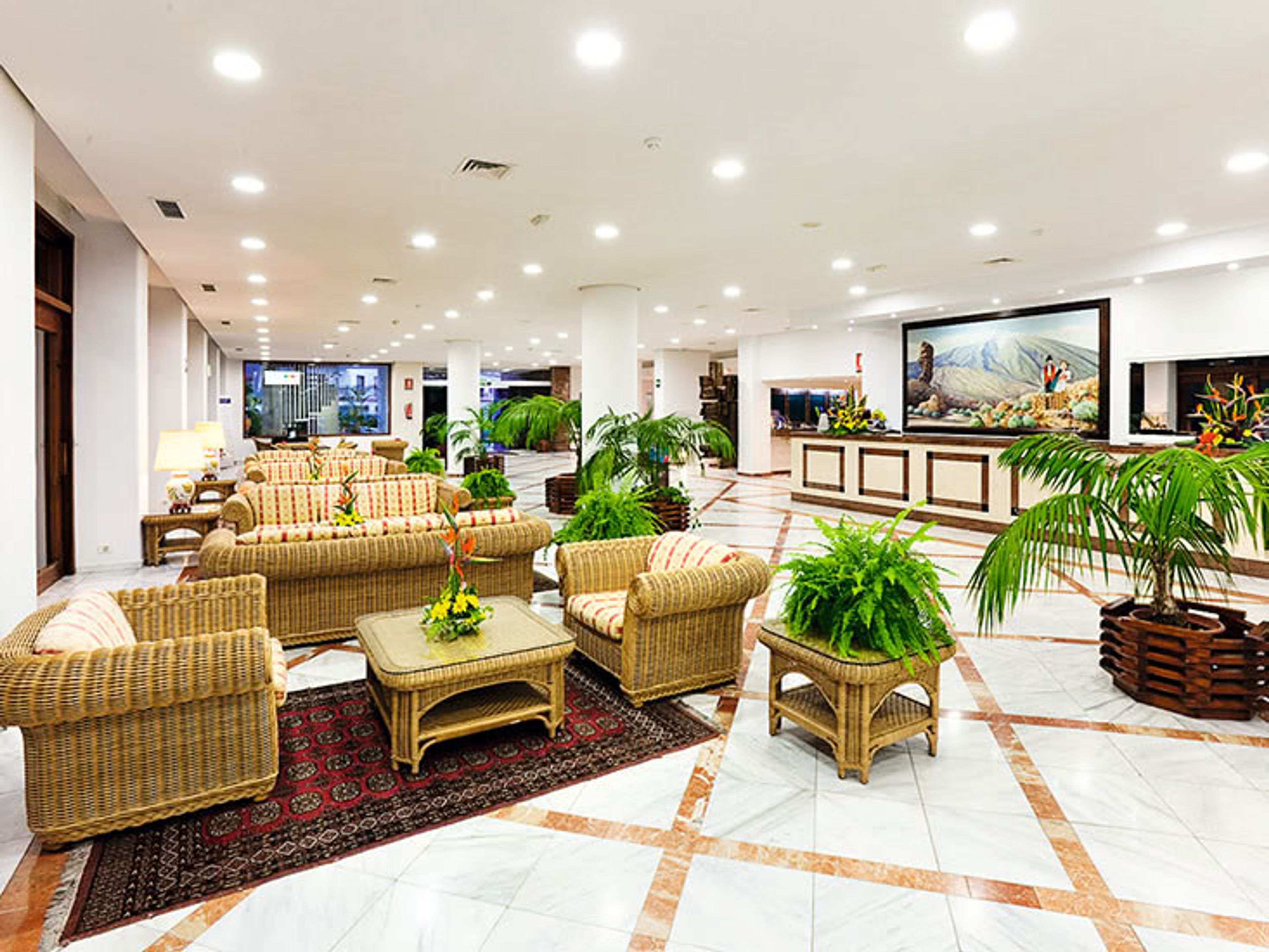 FERGUS Puerto de la Cruz foto 4