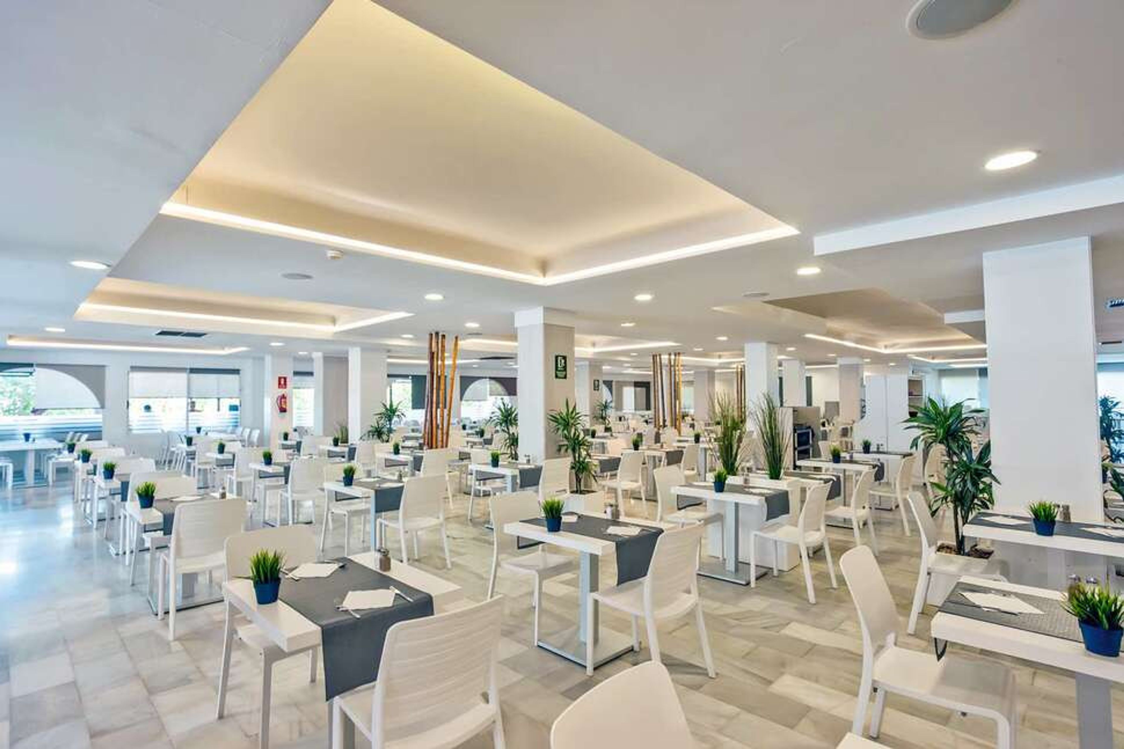 Fergus Style Bahamas foto 4