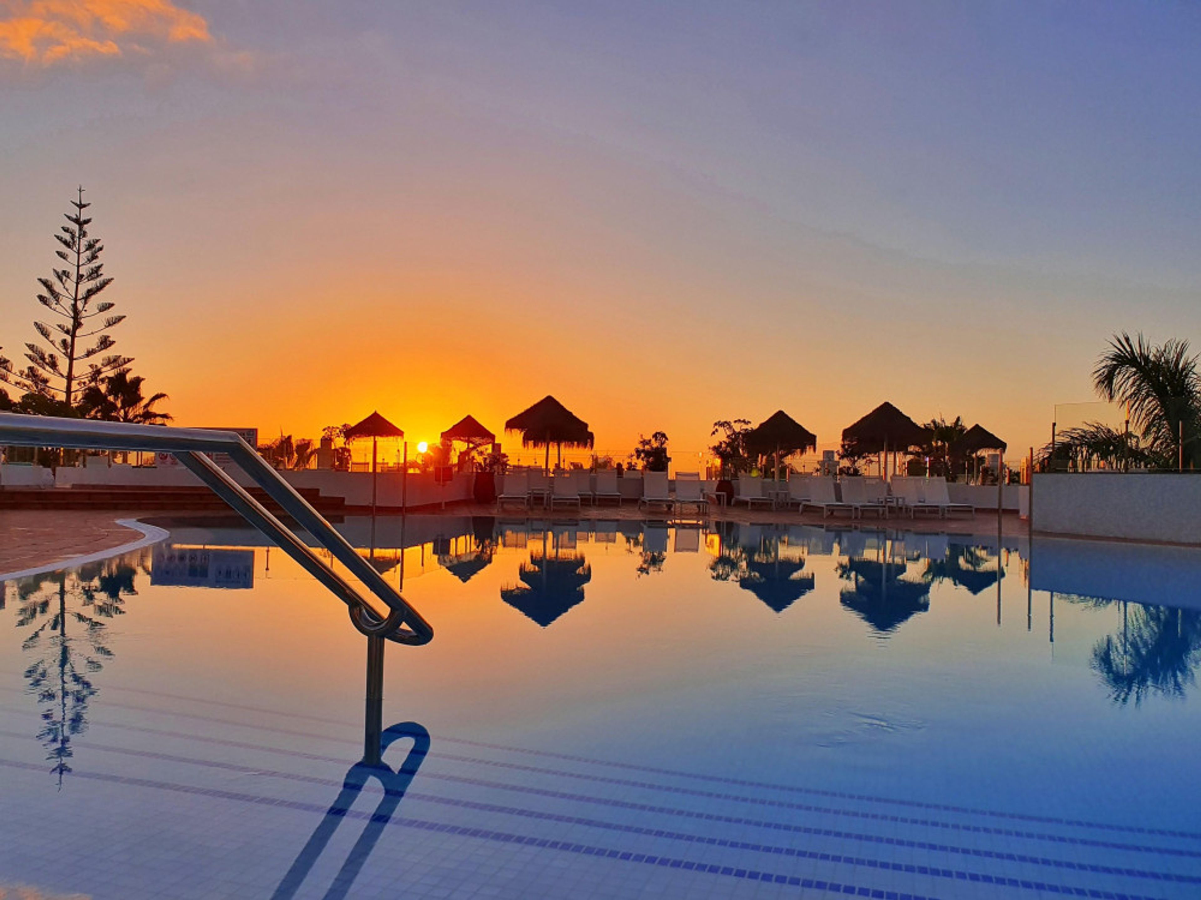 Flamingo Beach Mate foto 2