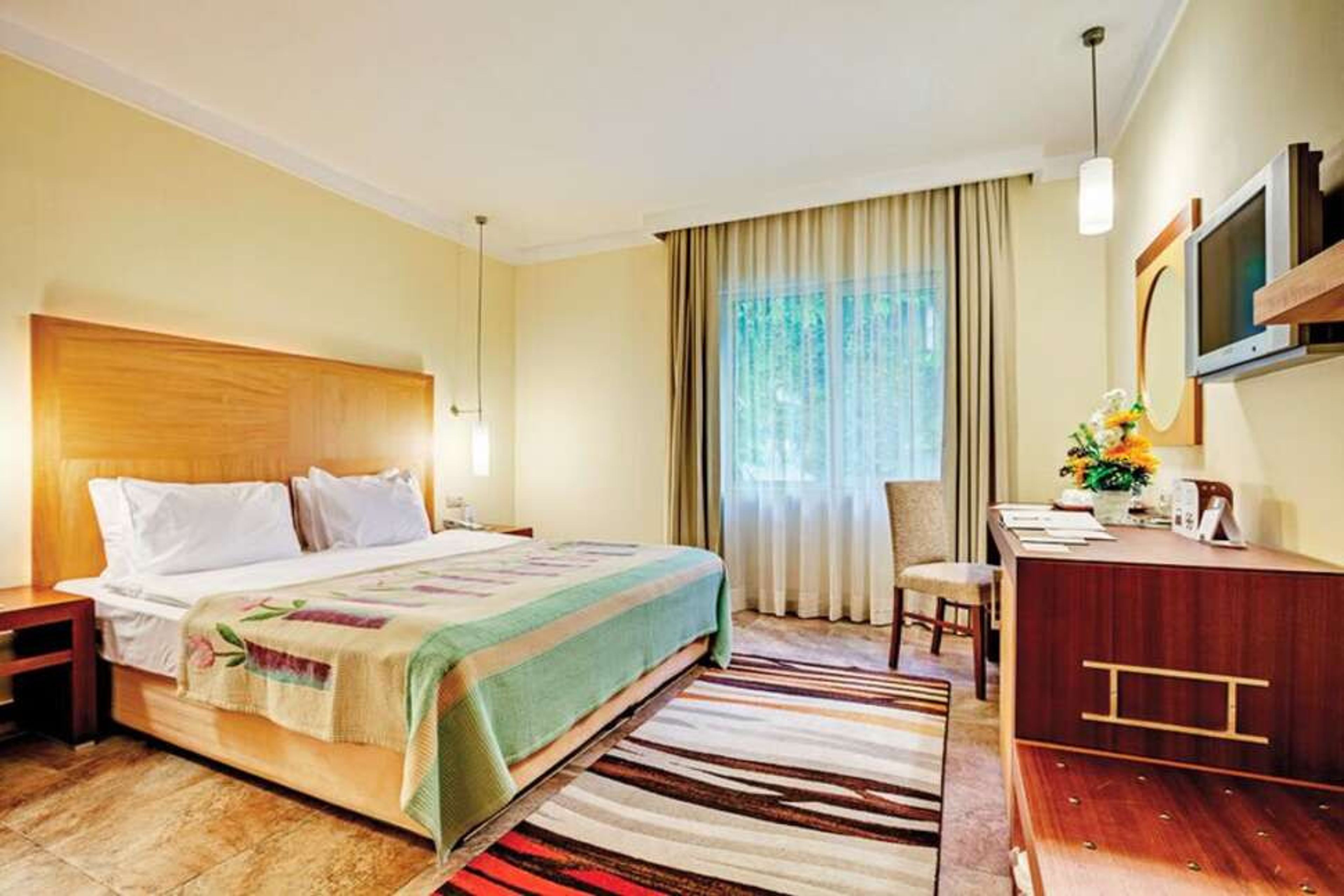 Gypsophila Club Marine foto 4