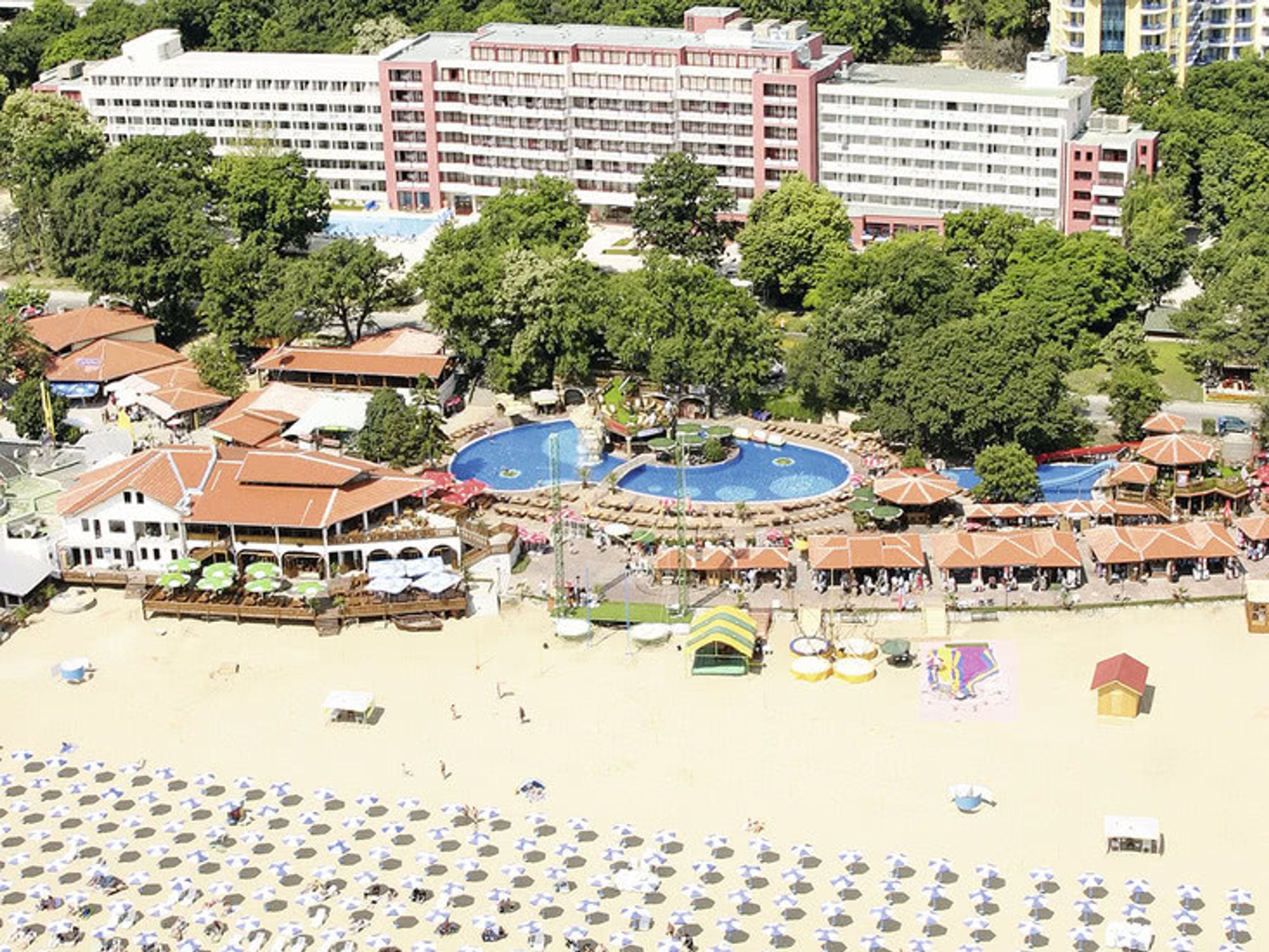 Gladiola Star foto 3