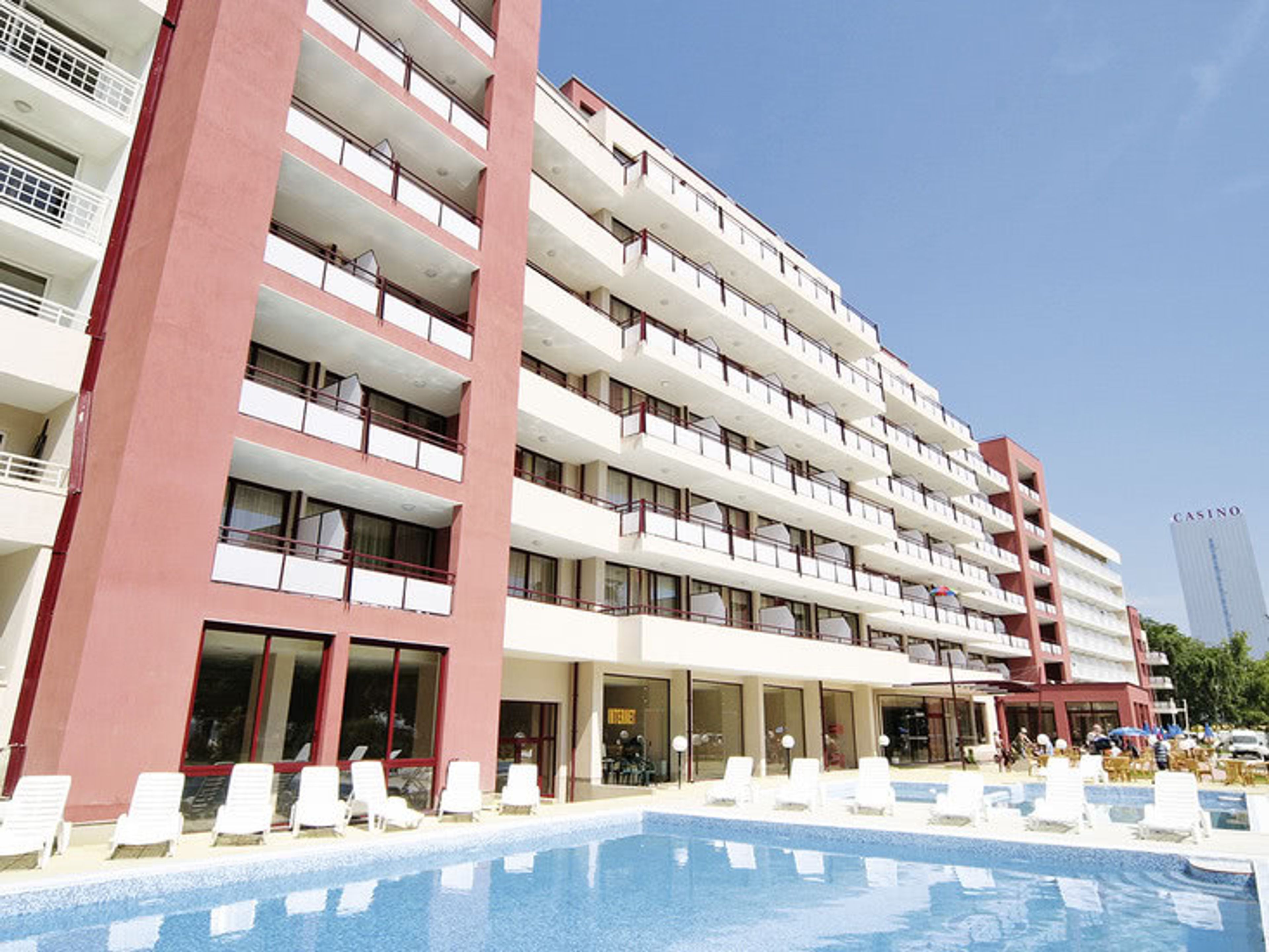 Gladiola Star foto 4