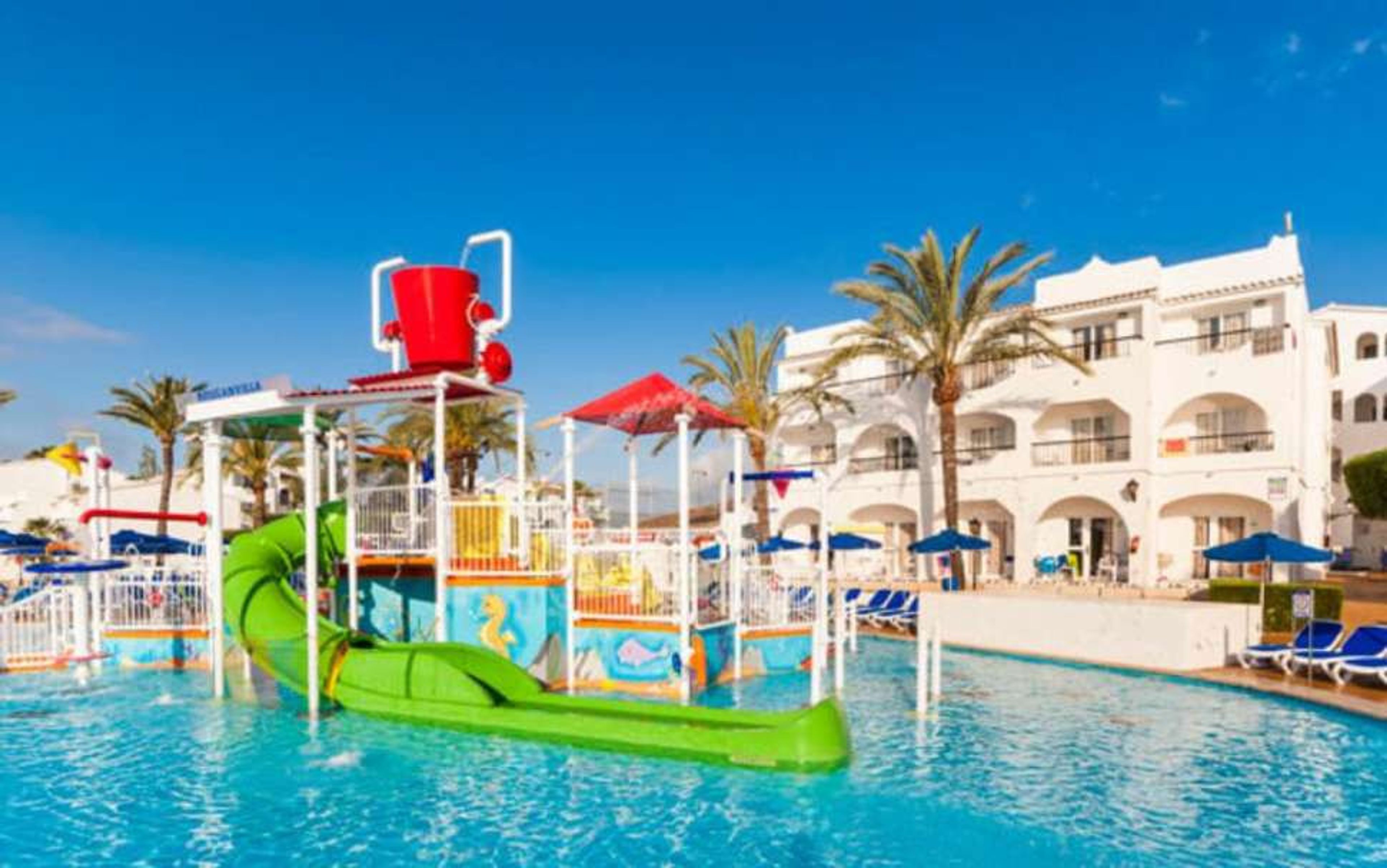 Globales Bouganvilla foto 3