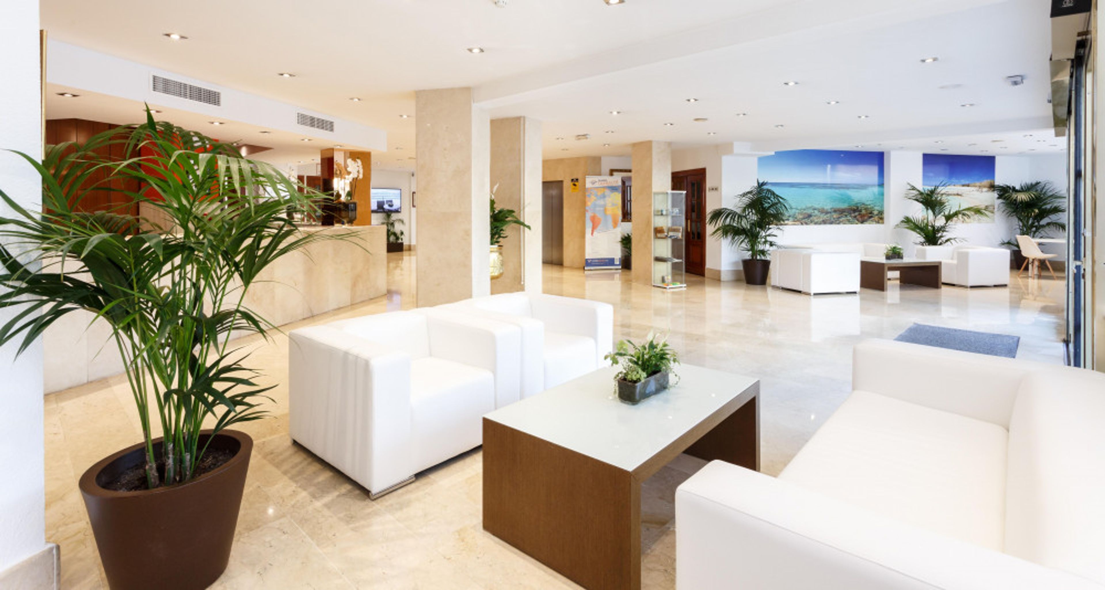 Globales Gardenia foto 4