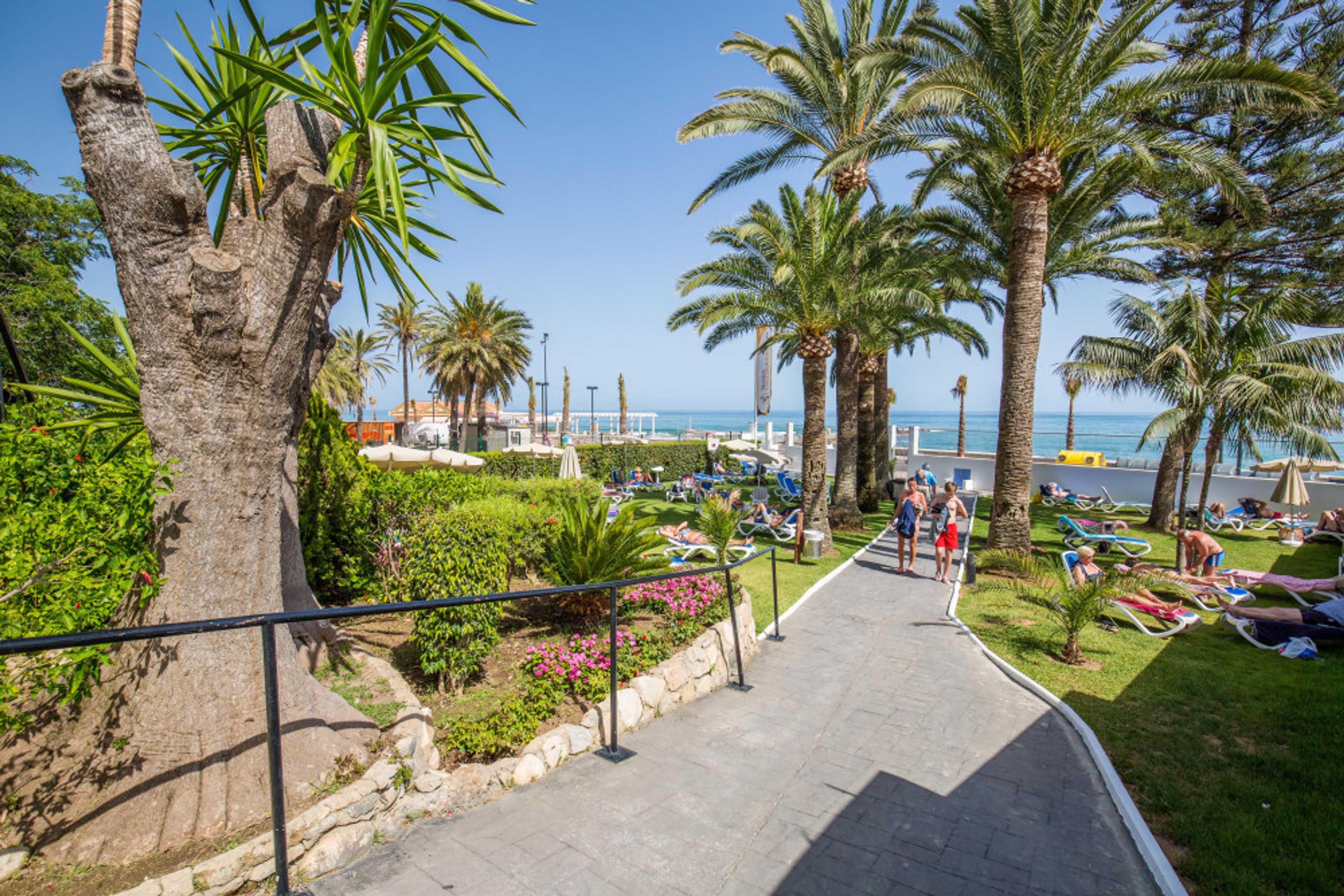 Globales Gardenia foto 1