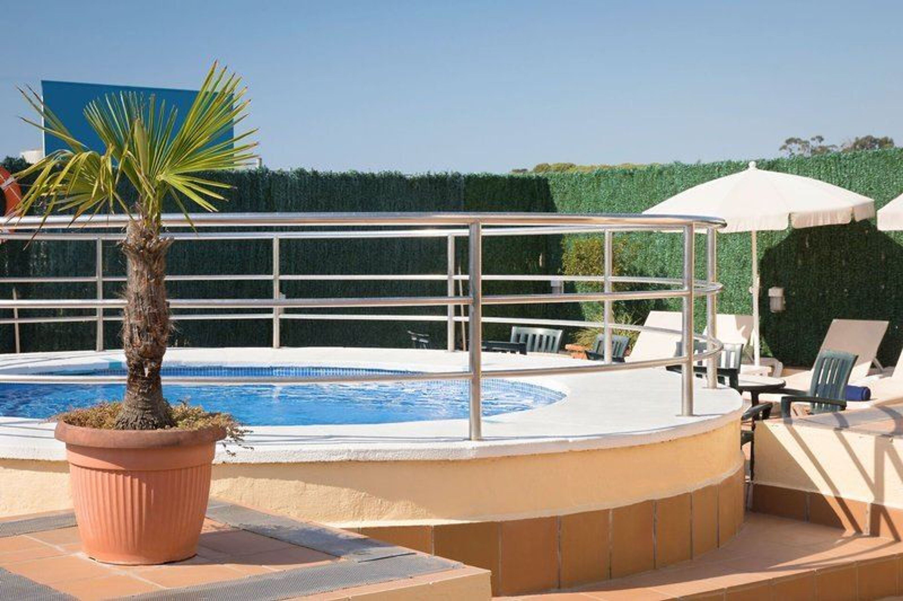 htop Amatista foto 3