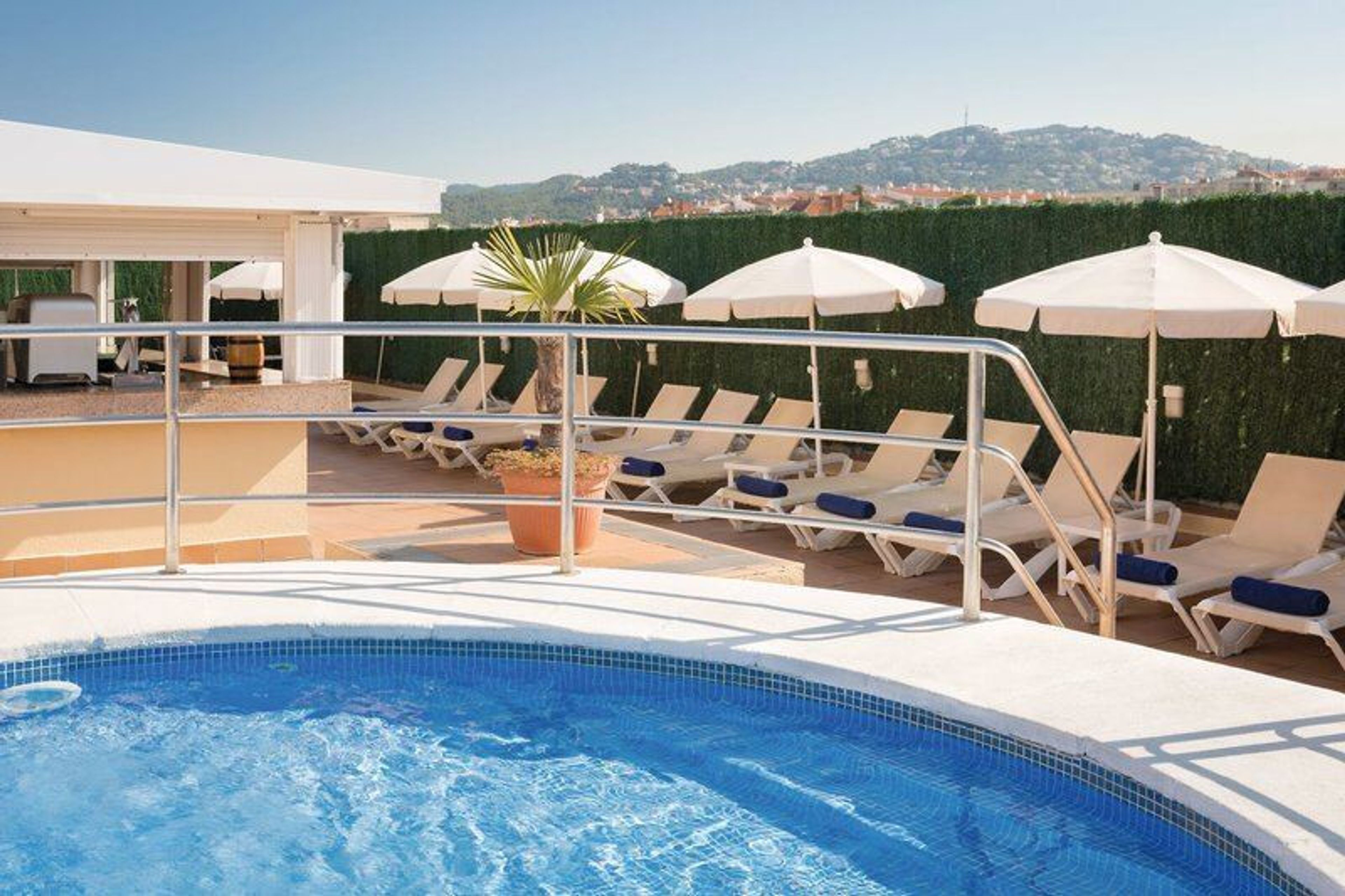 htop Amatista foto 1