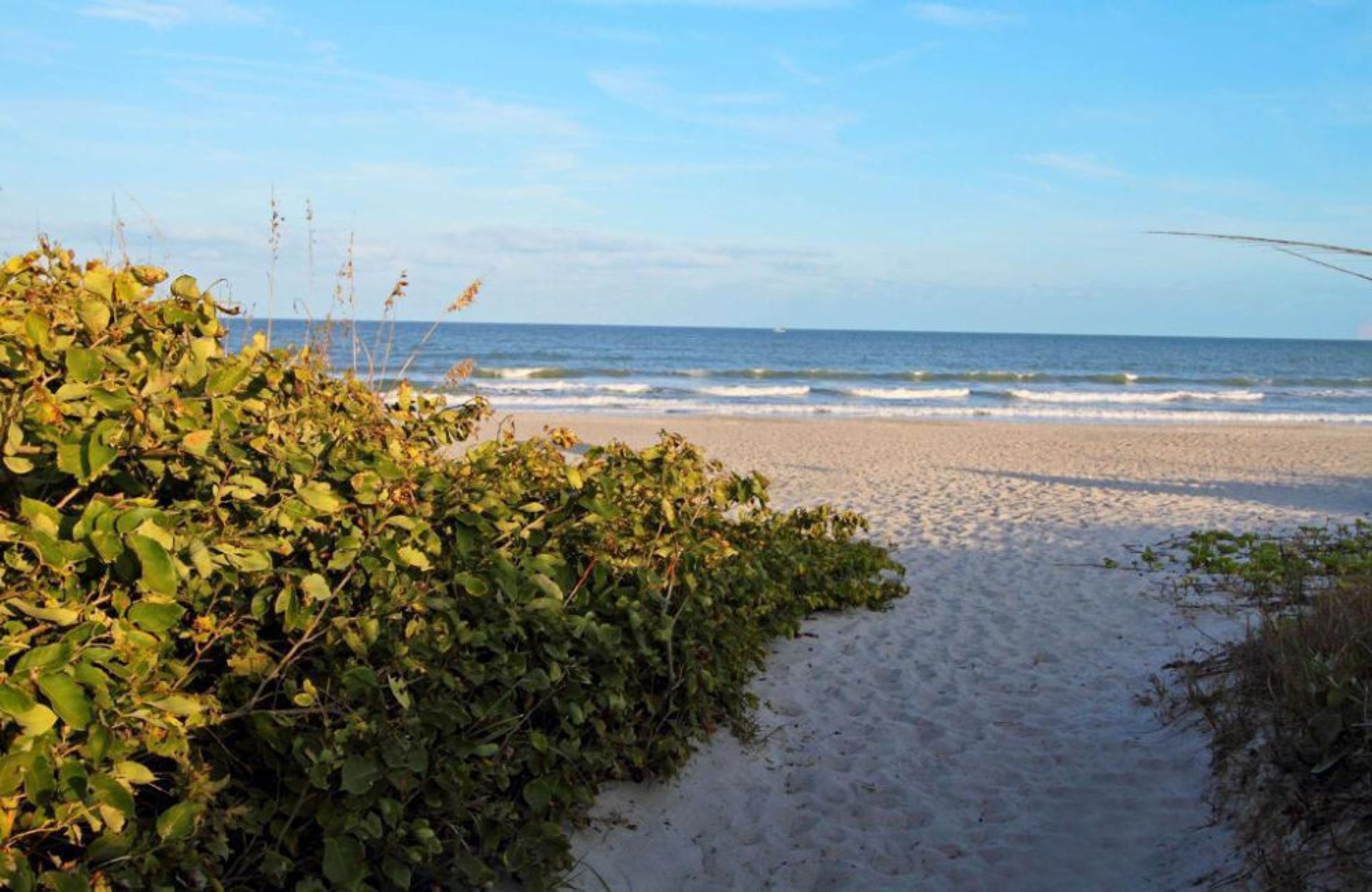 Hampton Inn Cocoa Beach foto 4