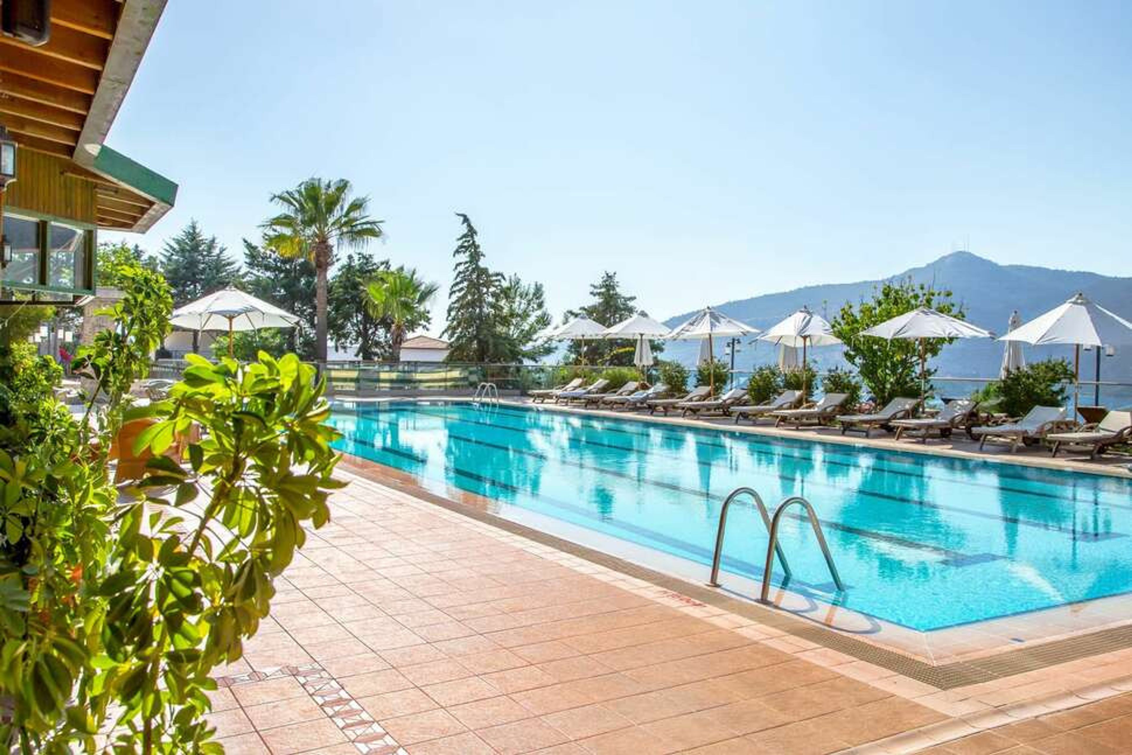 Happy Kalkan