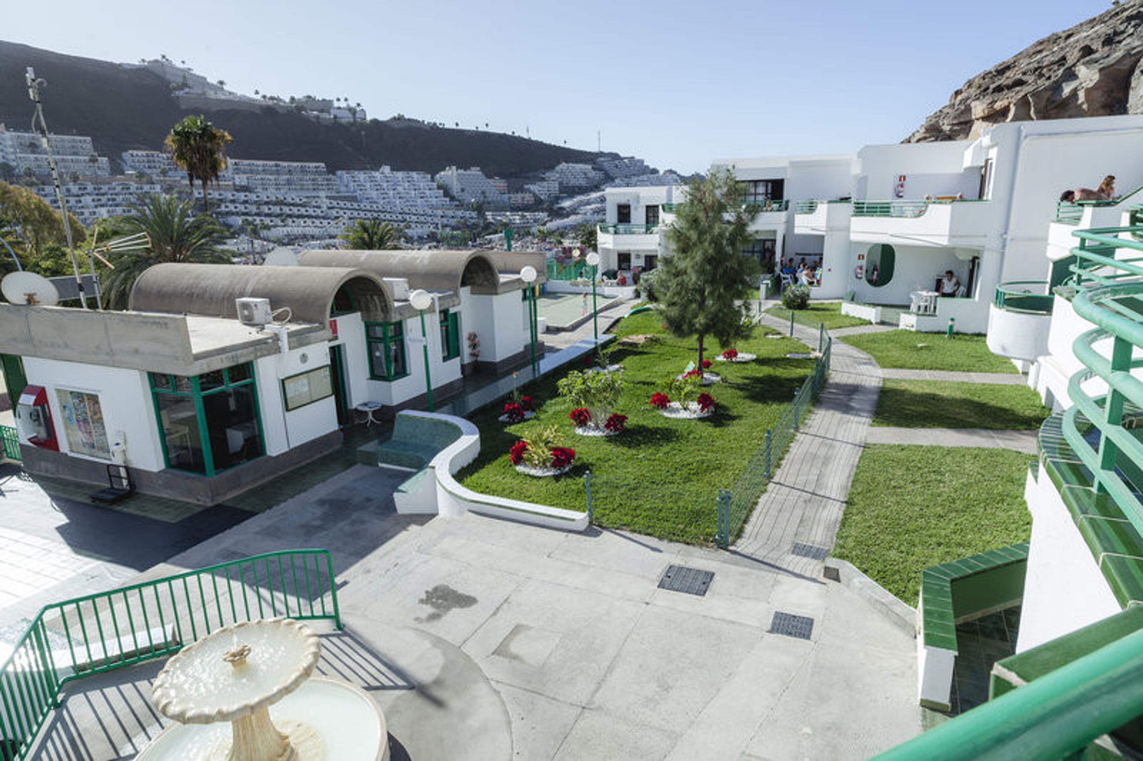 Heliomar Palmeras foto 2