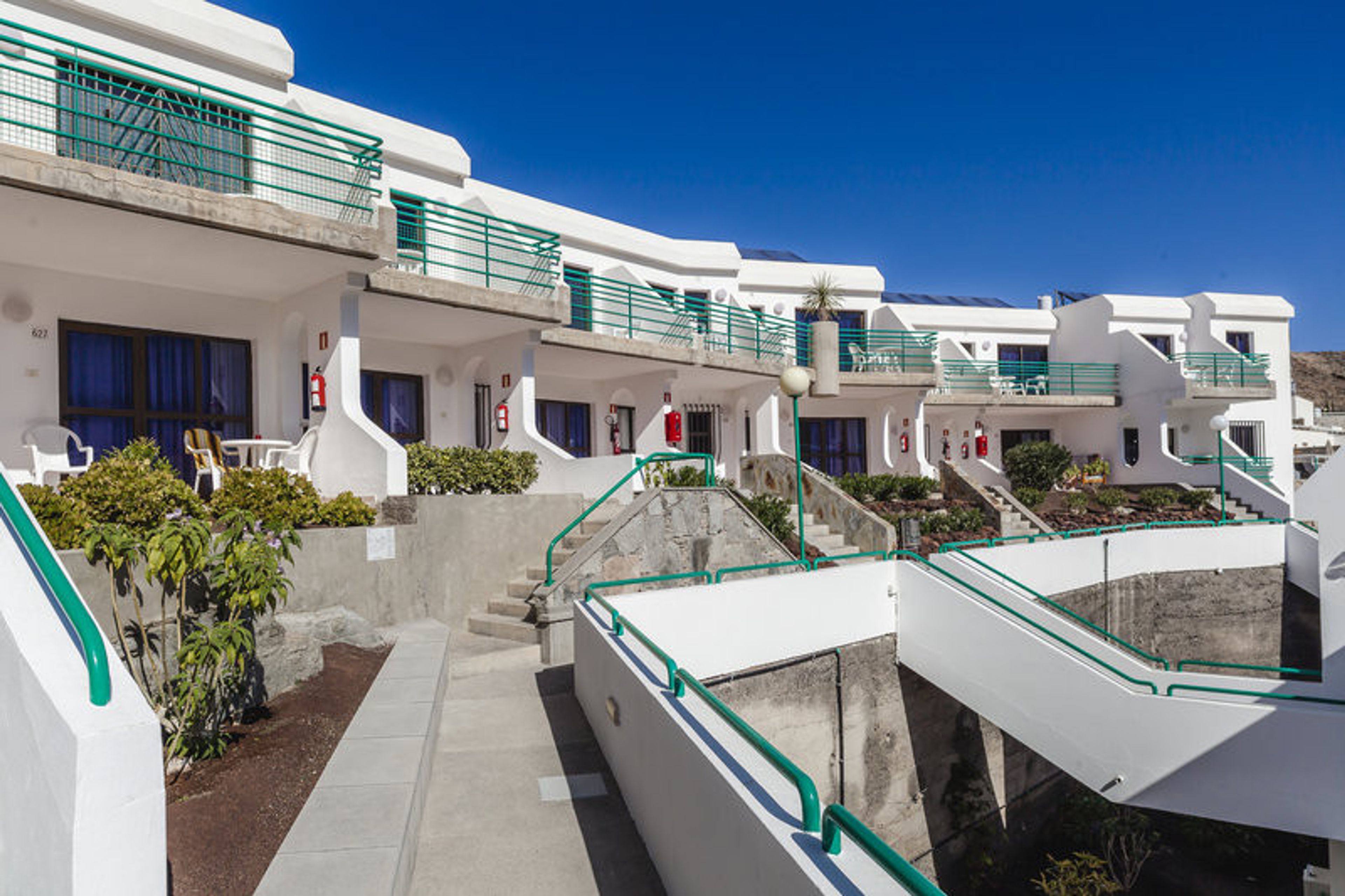 Heliomar Palmeras foto 3