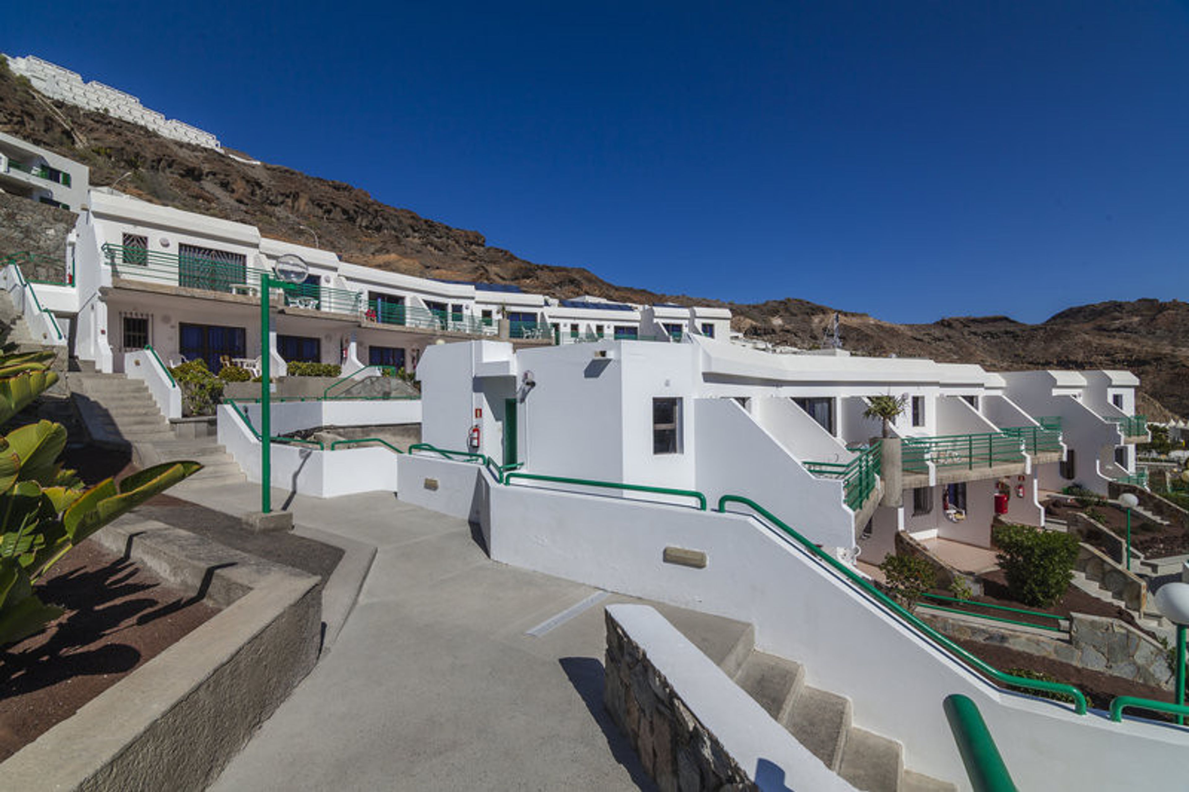 Heliomar Palmeras foto 4