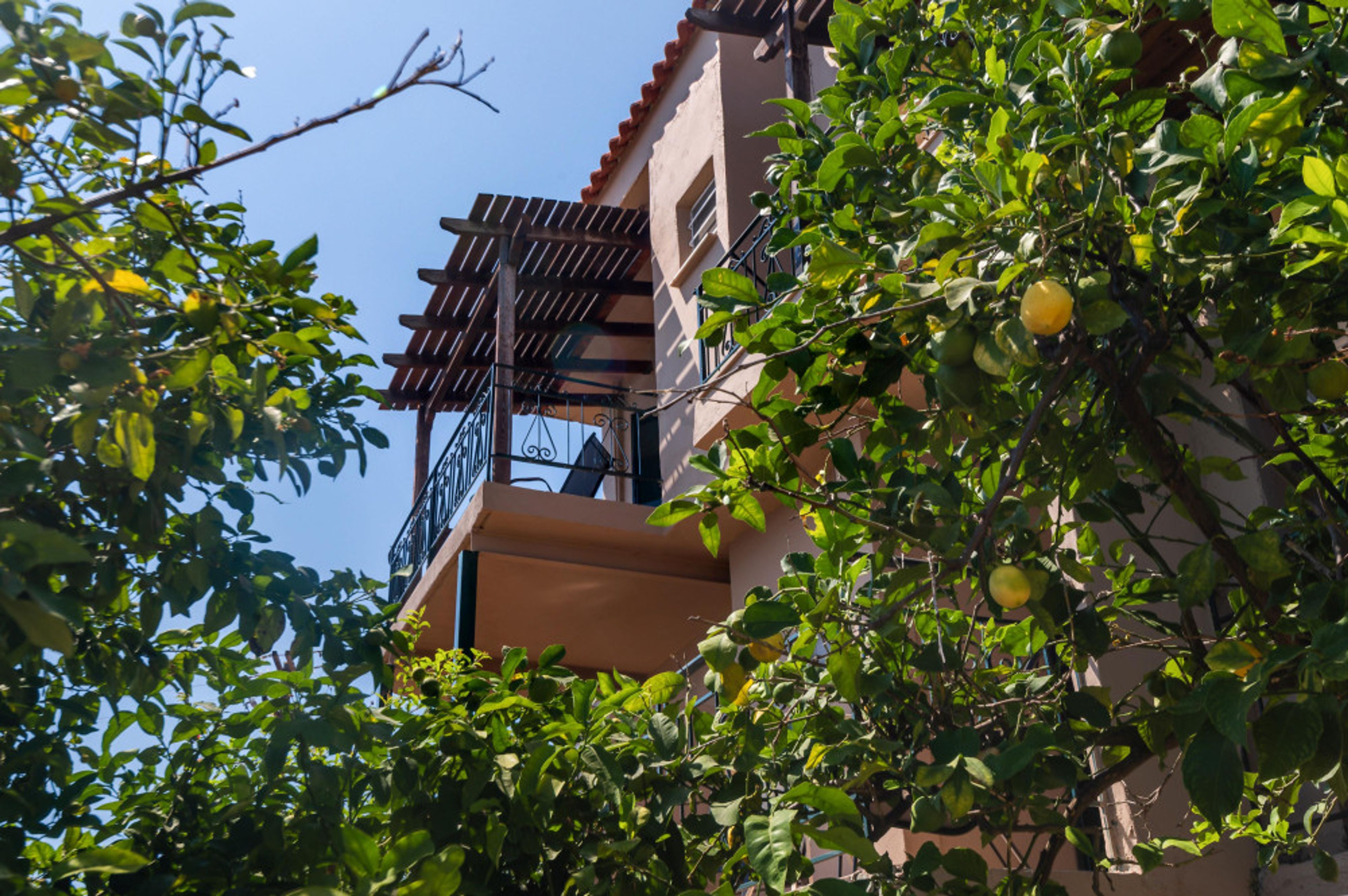 Hilltop Resort foto 1