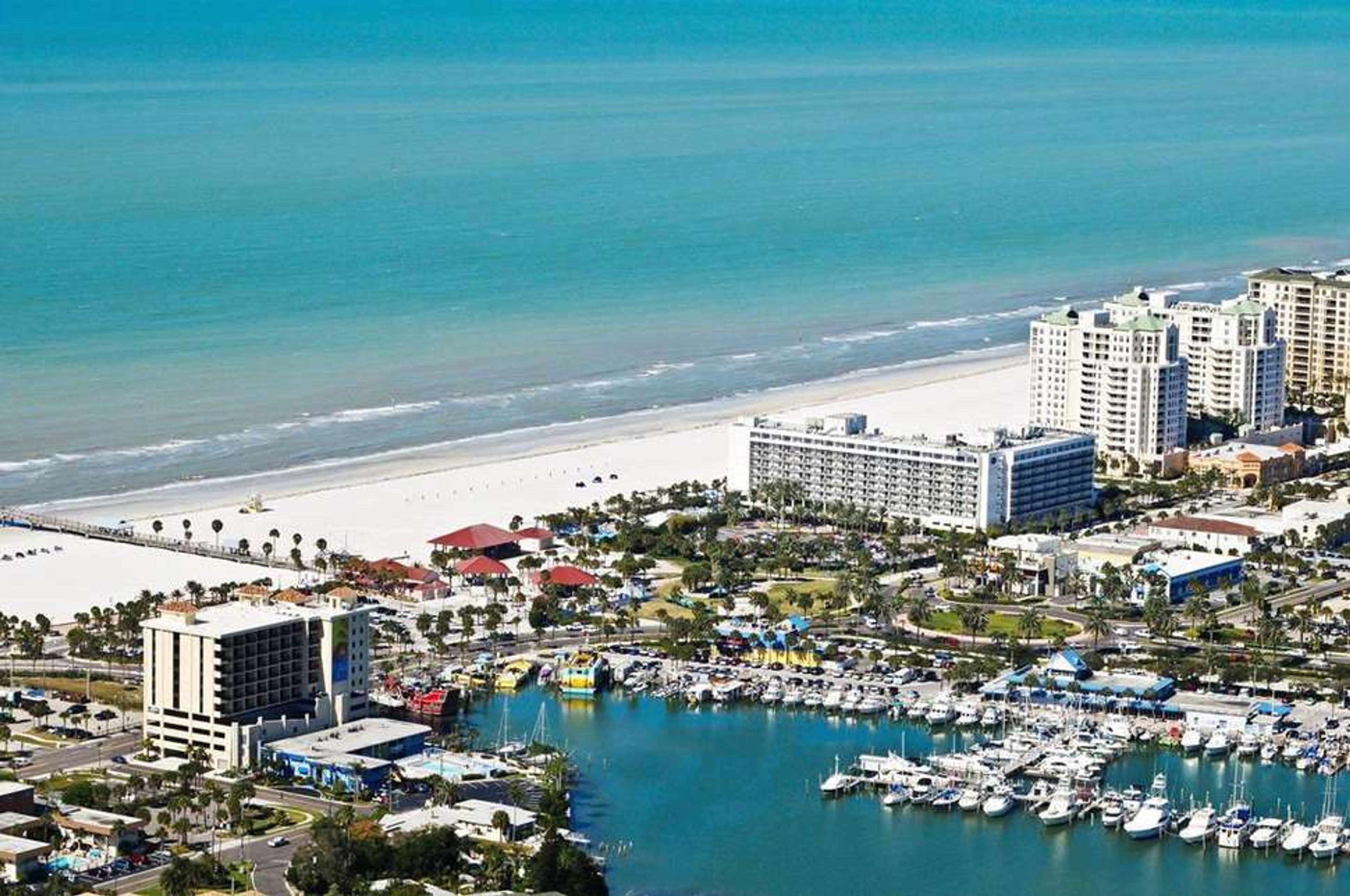 Hilton Clearwater Beach Resort & Spa foto 1