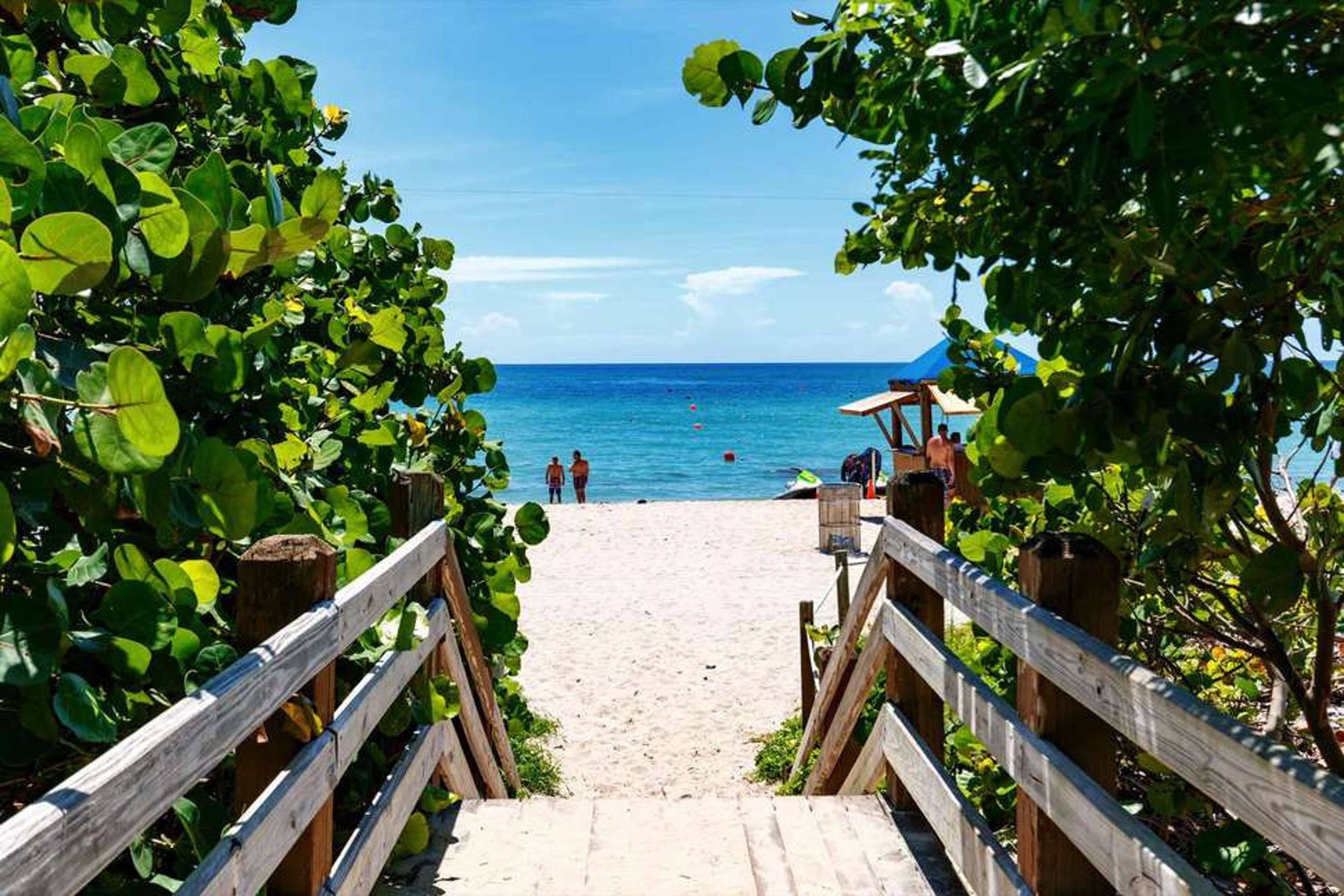 Holiday Inn Miami Beach Oceanfront foto 1