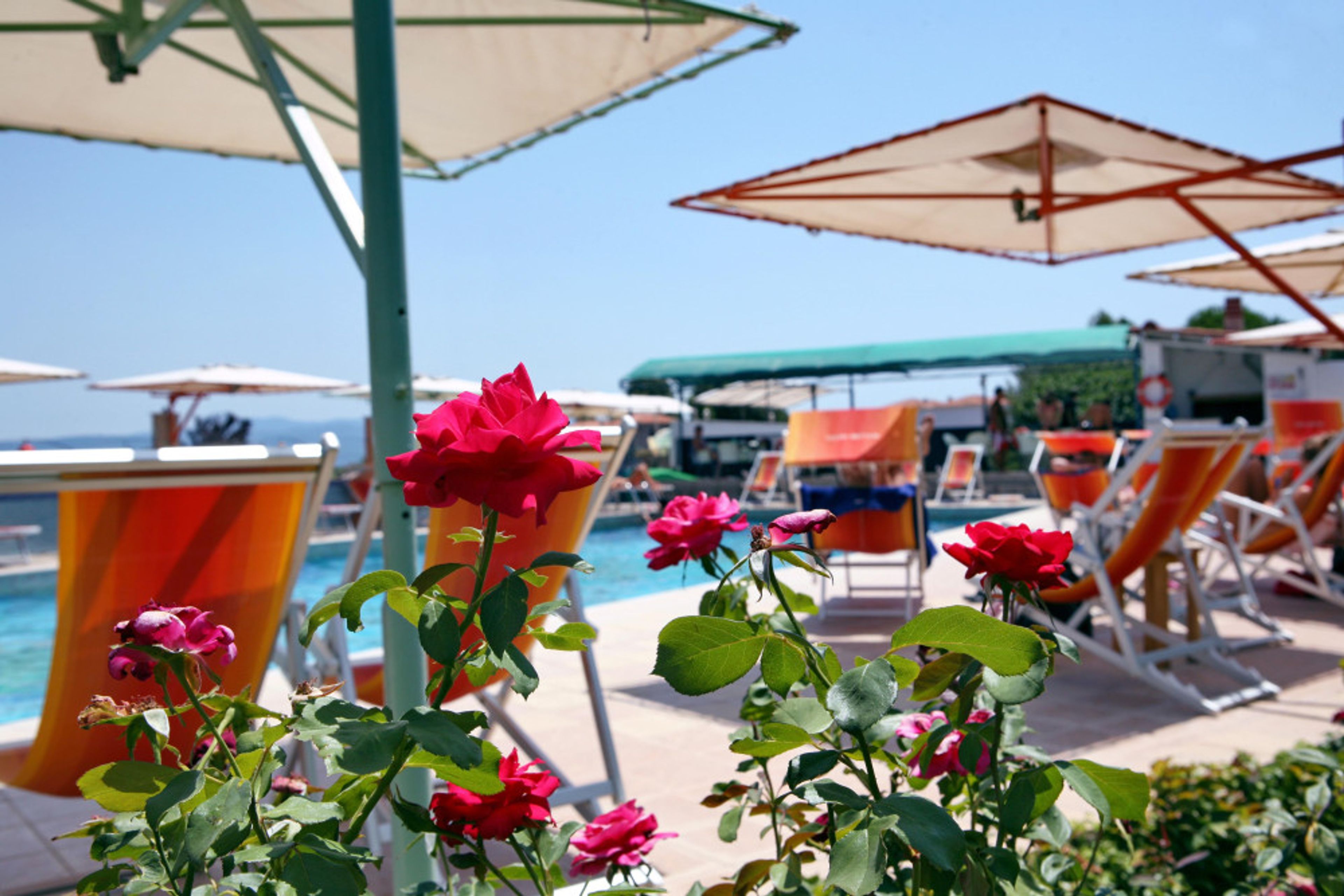 Hotel Malemi Organic