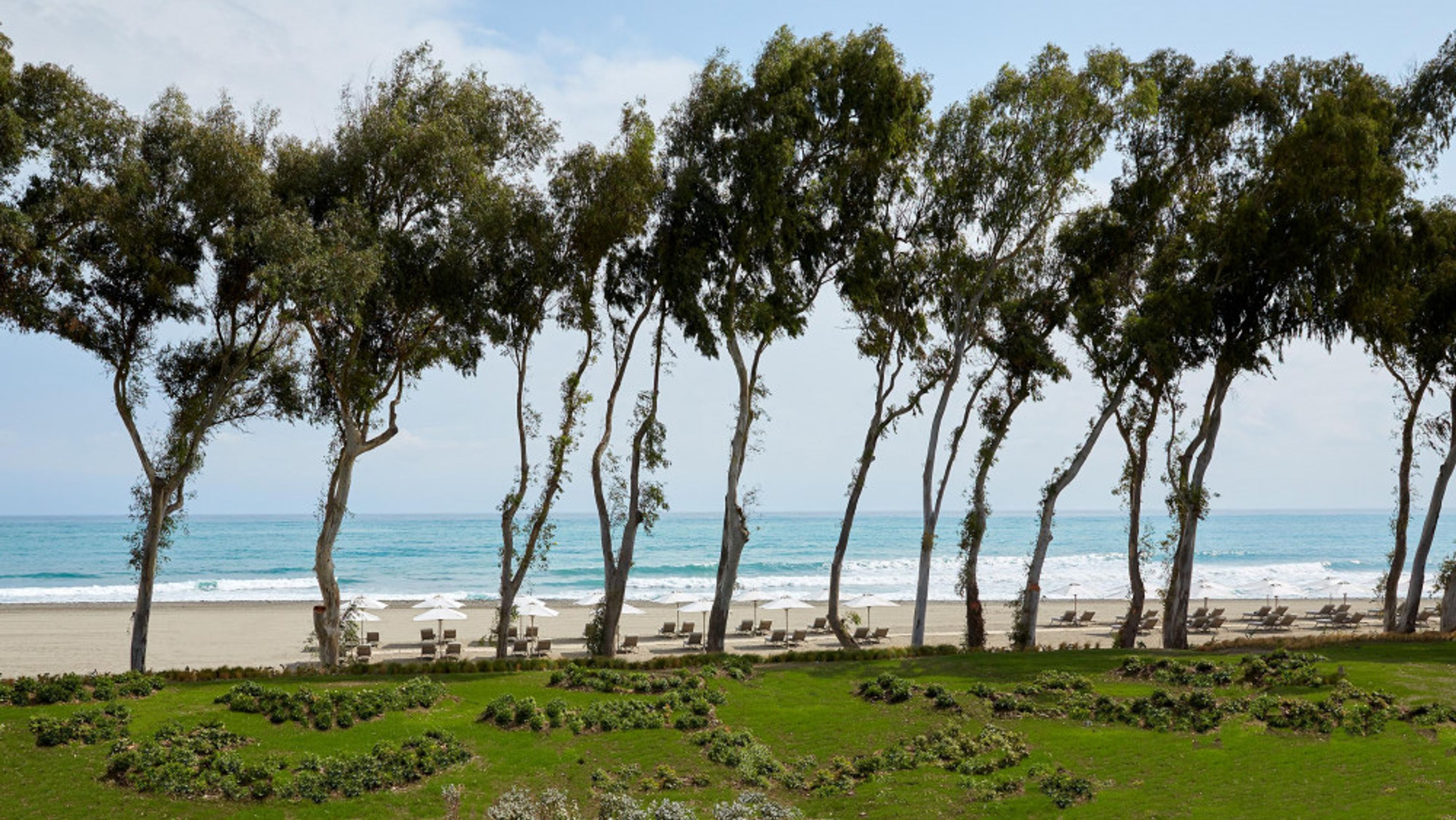 Ikos Andalusia foto 4