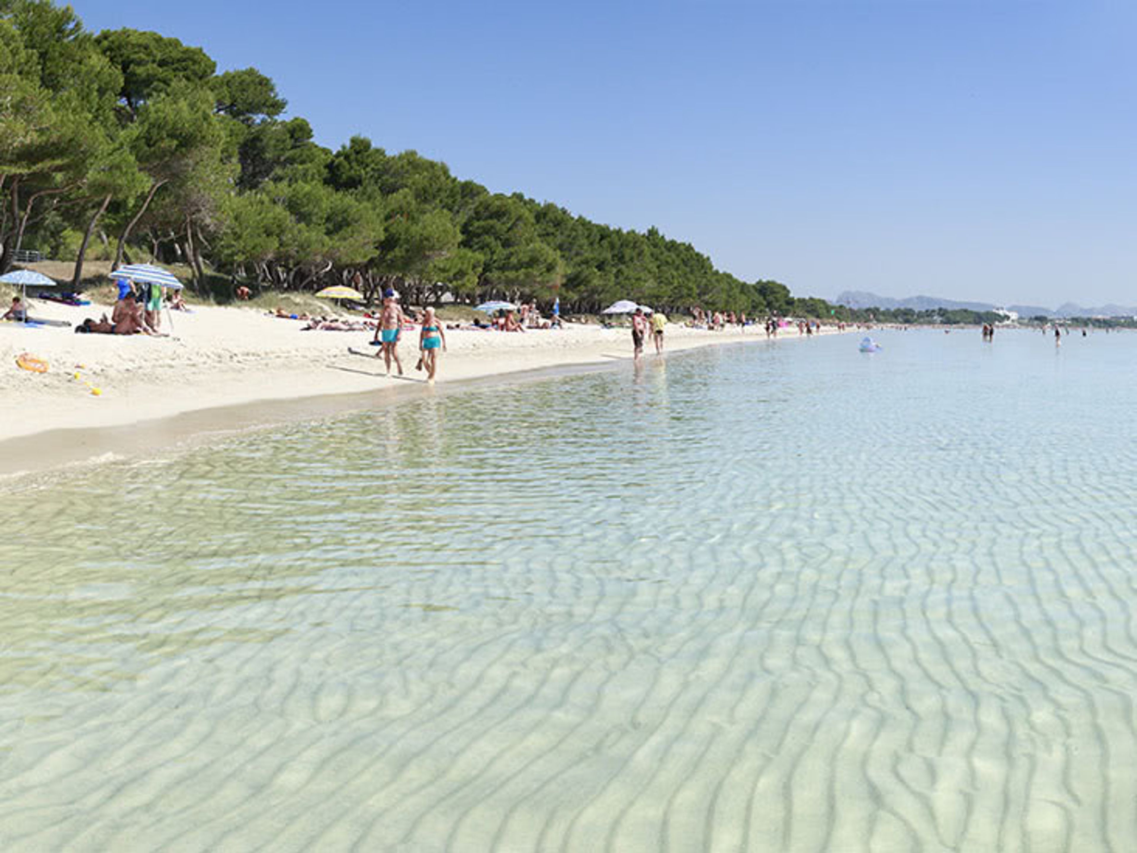 INNSiDE Alcudia foto 1