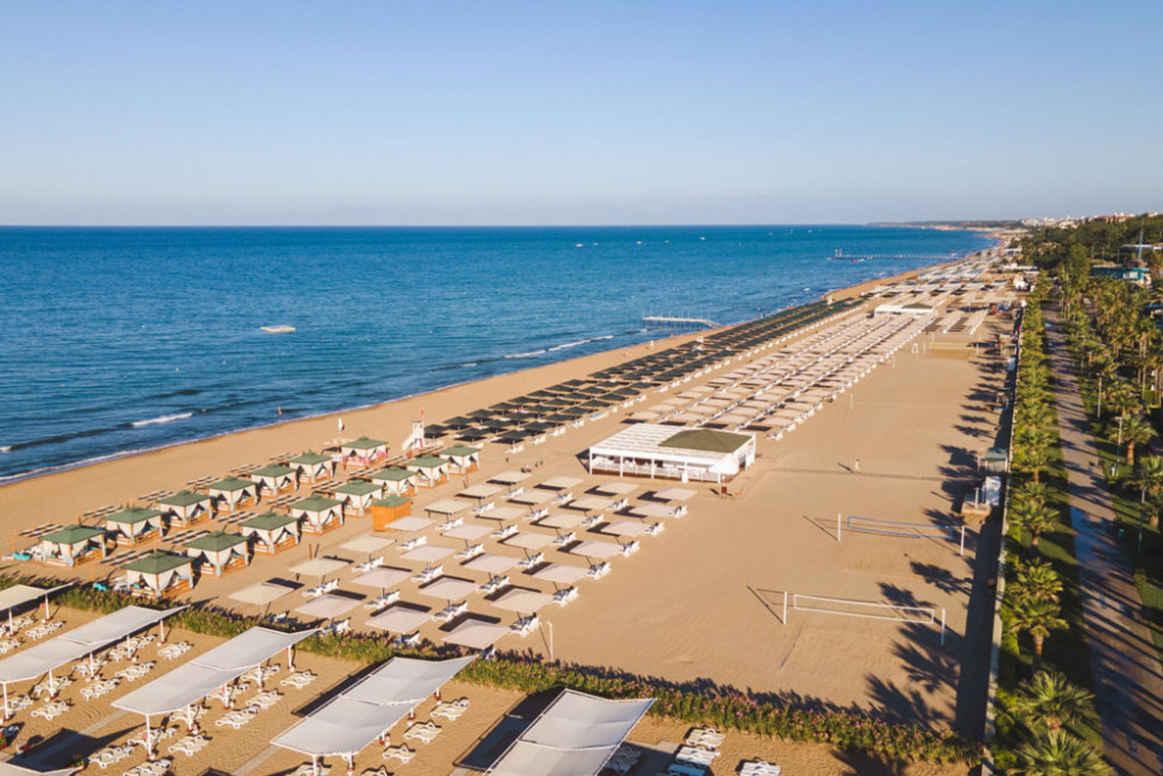 Kamelya Selin foto 3