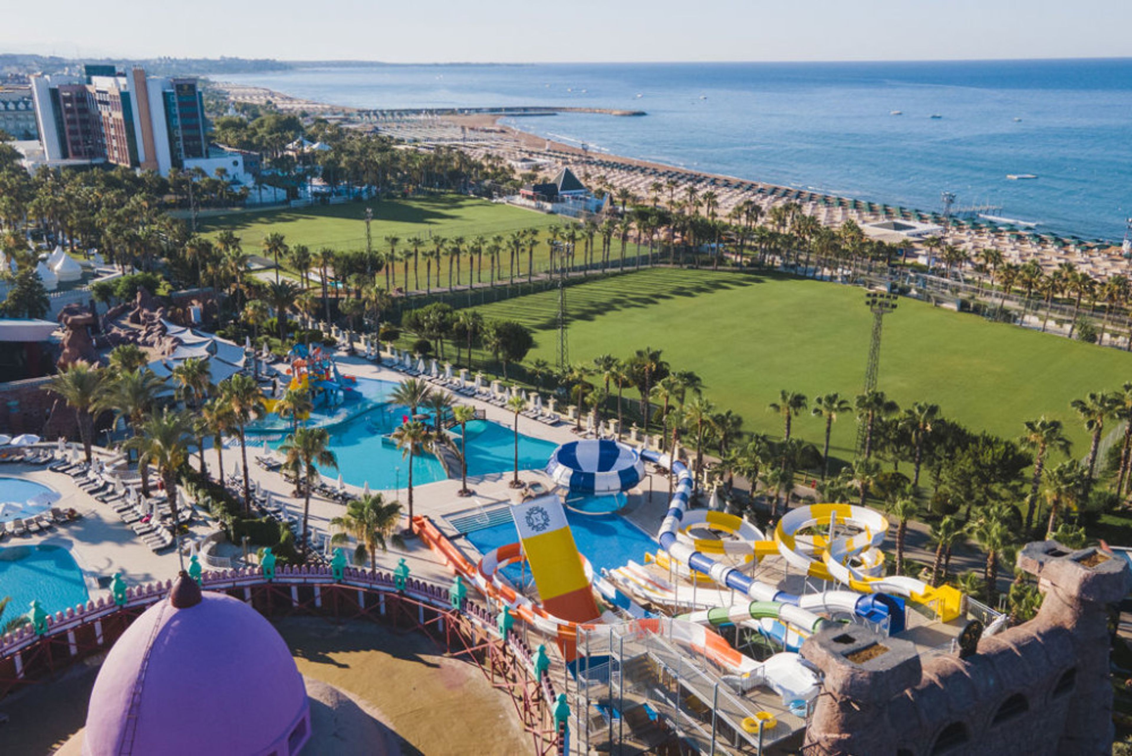 Kamelya Selin foto 1