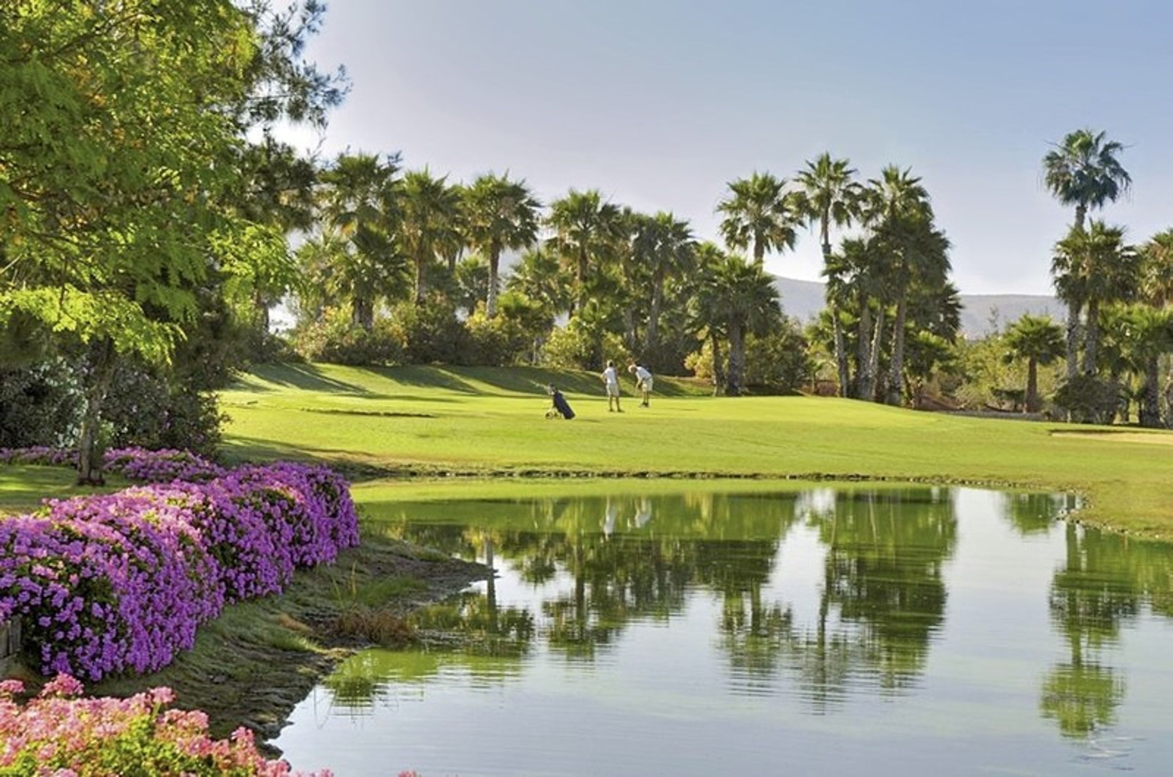 Las Madrigueras Golf Resort&SPA foto 2