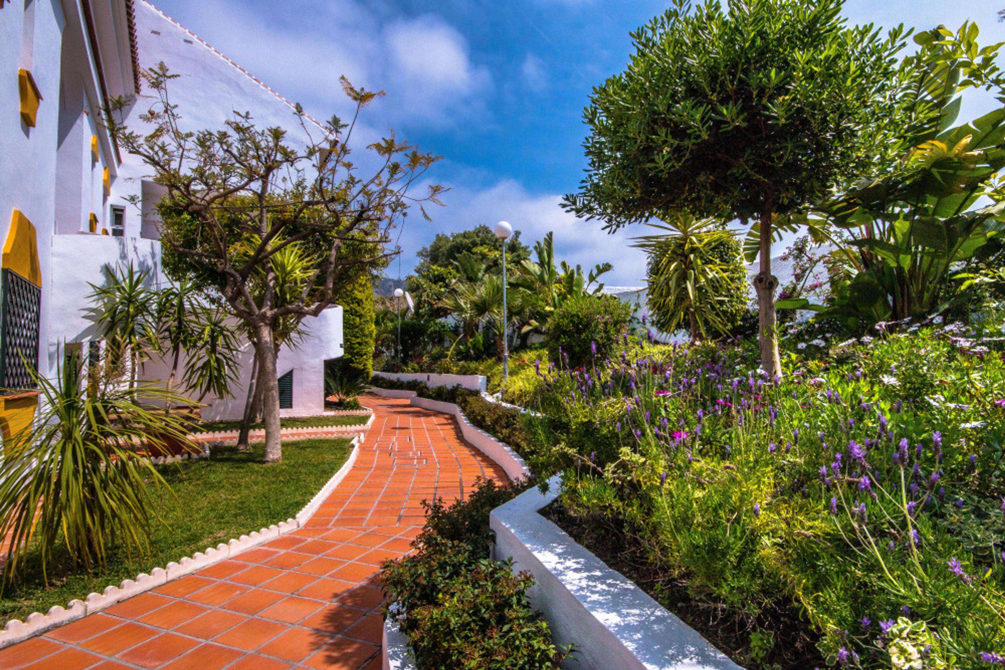 Las Rosas de Capistrano