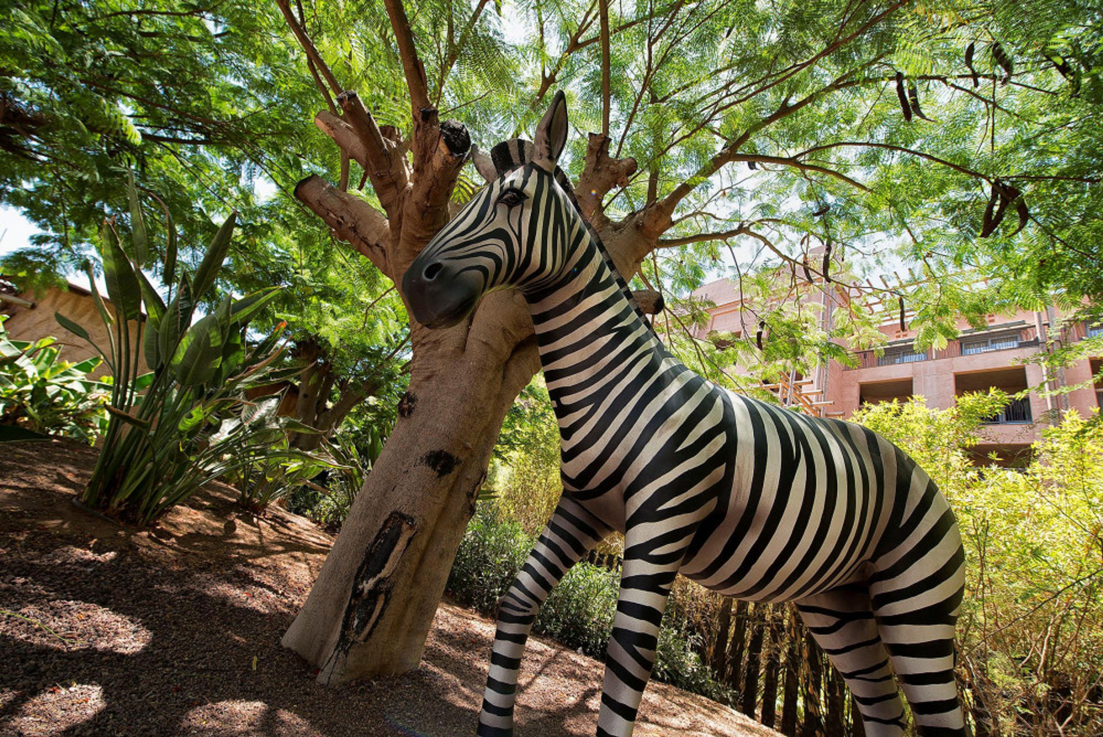 Lopesan Baobab Resort foto 2