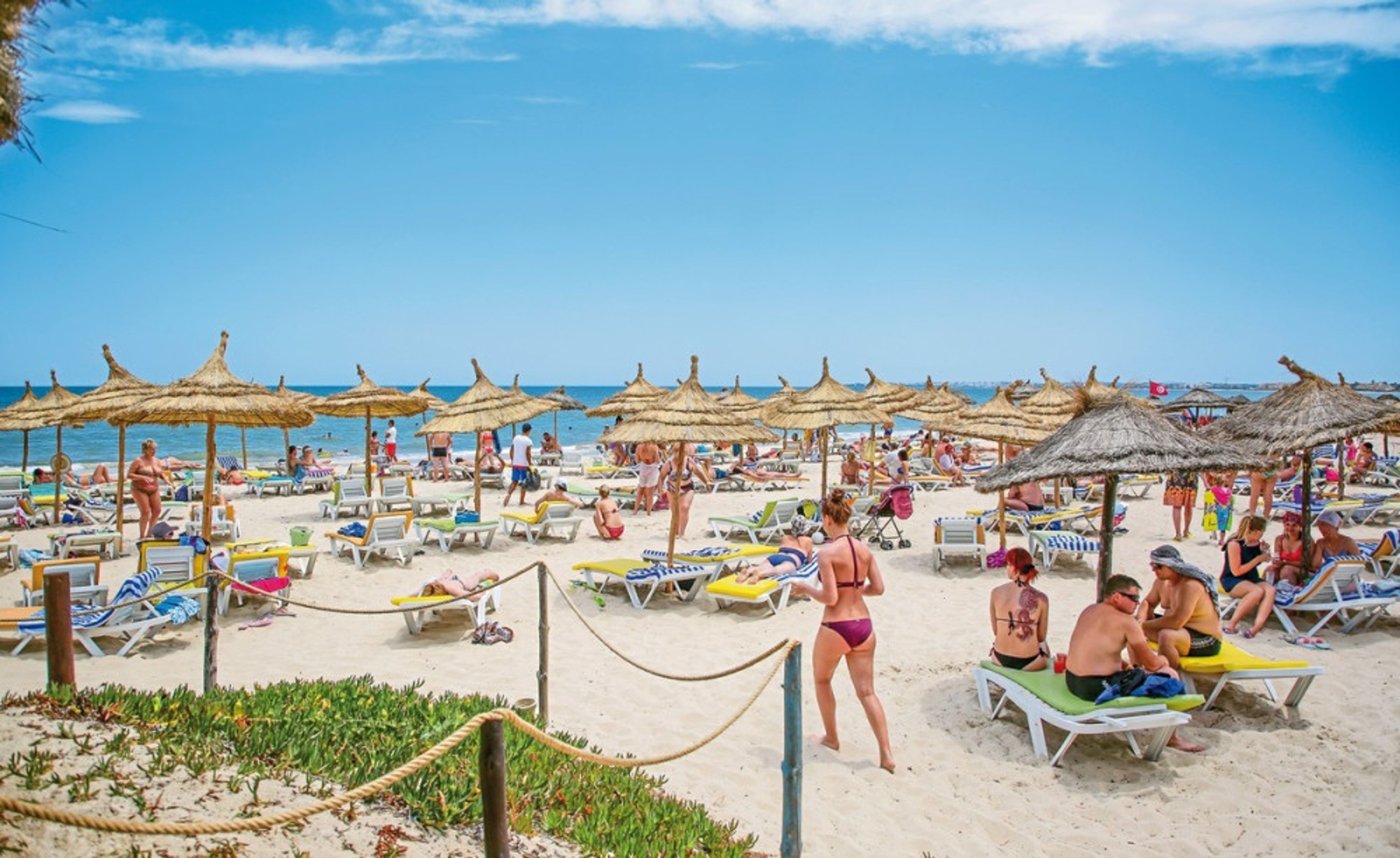 Palm Beach Skanes foto 2