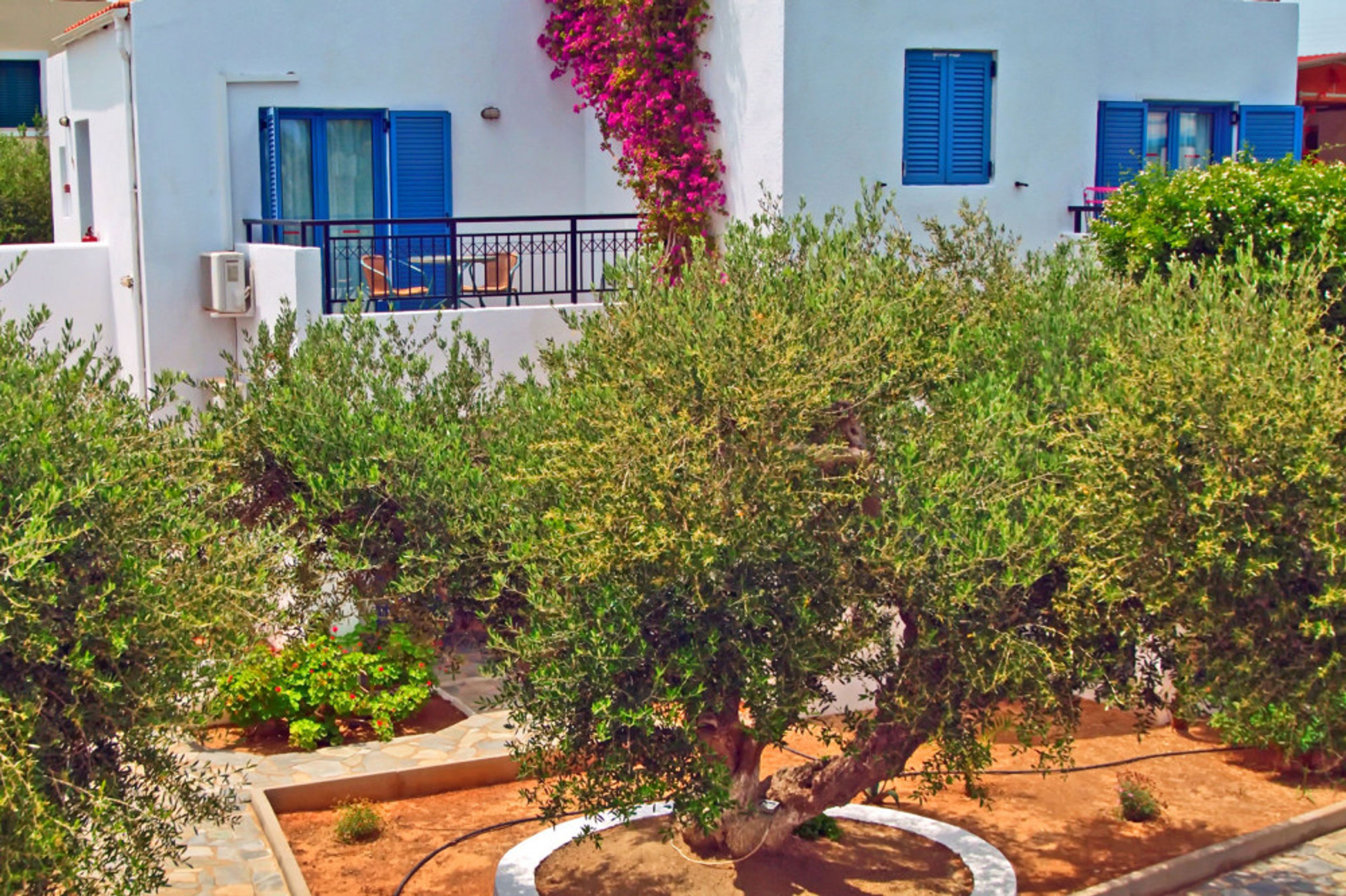 Palatia Village foto 2