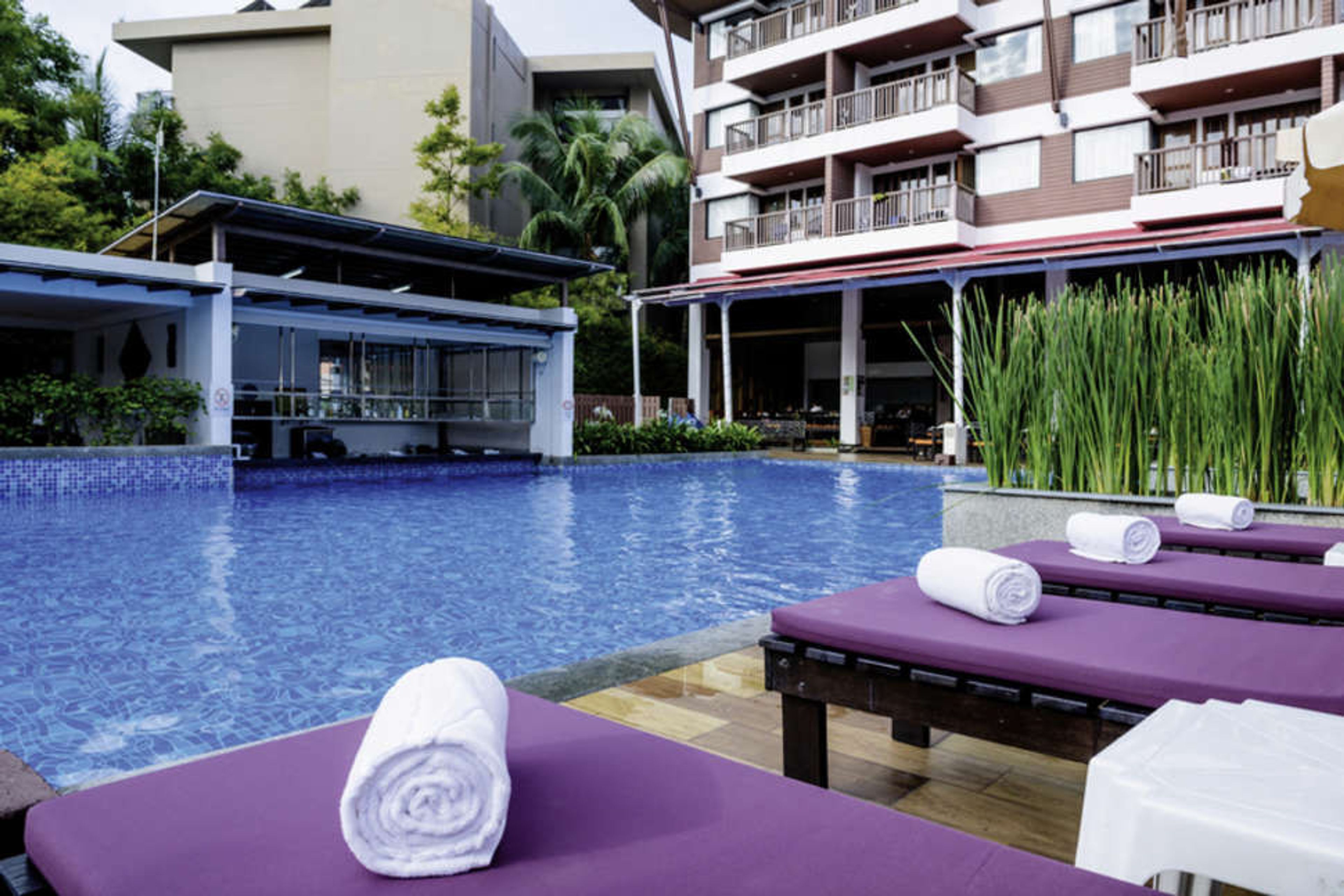 Peach Blossom foto 1