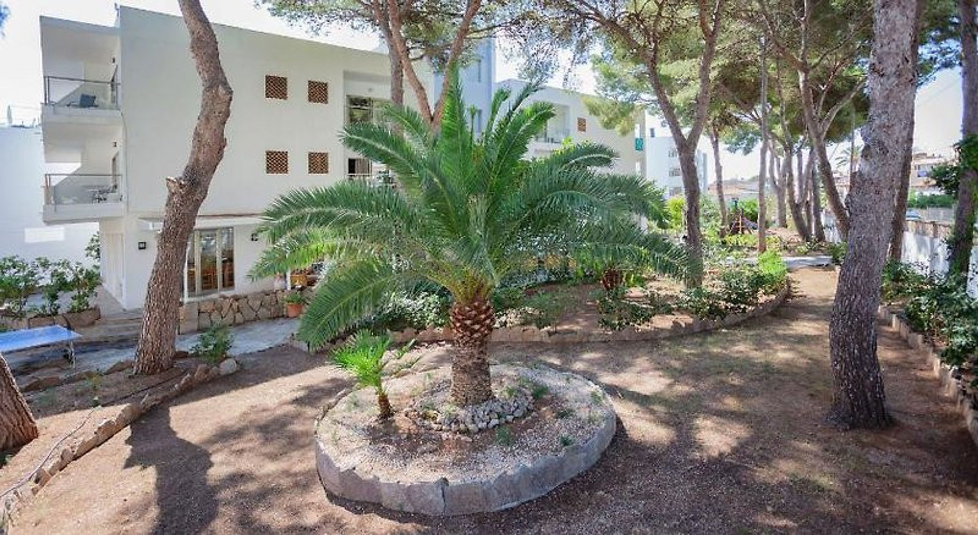 Petit Garden Hotel by Flacalco foto 4