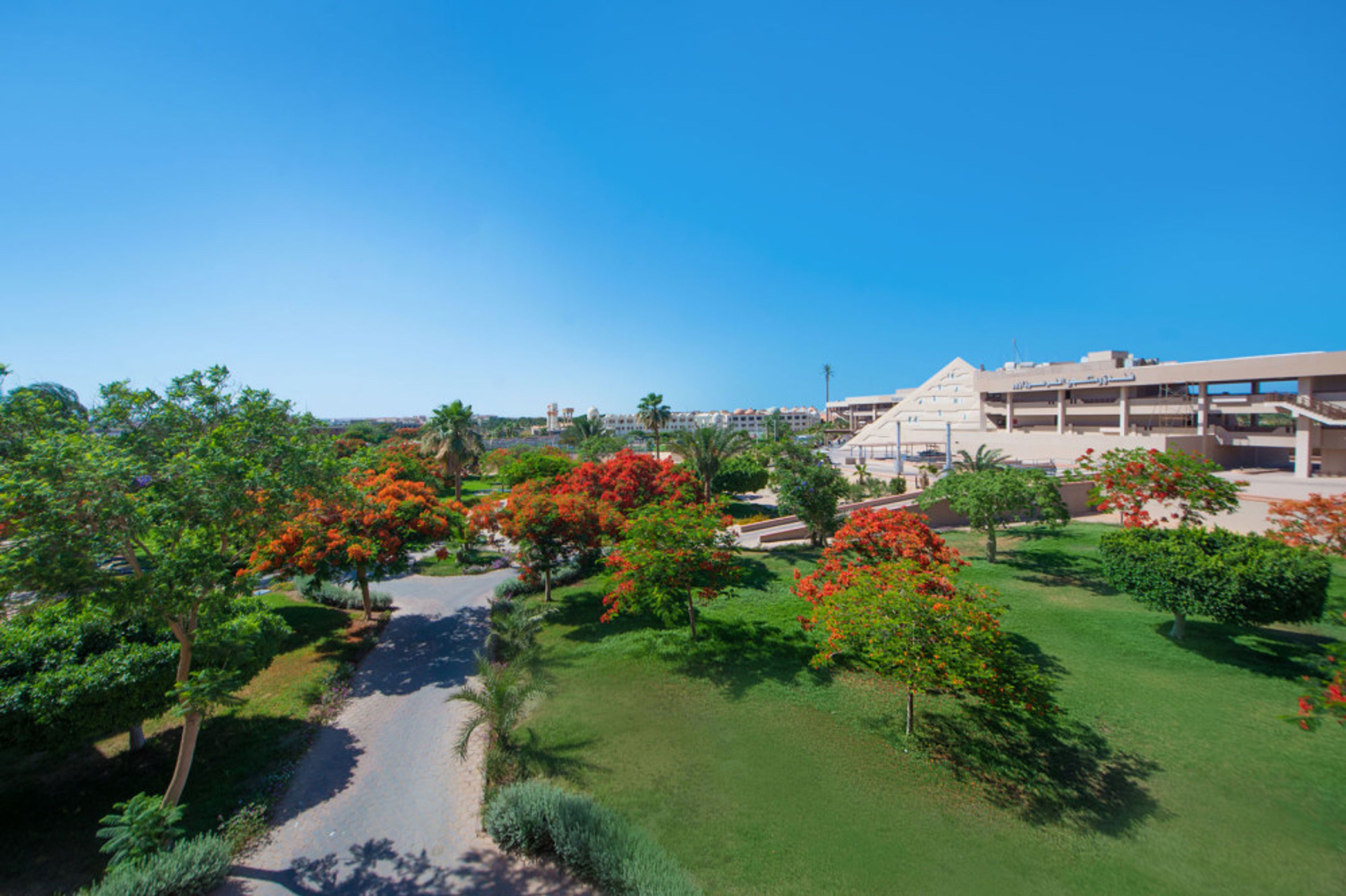 Pharaoh Azur Resort foto 1