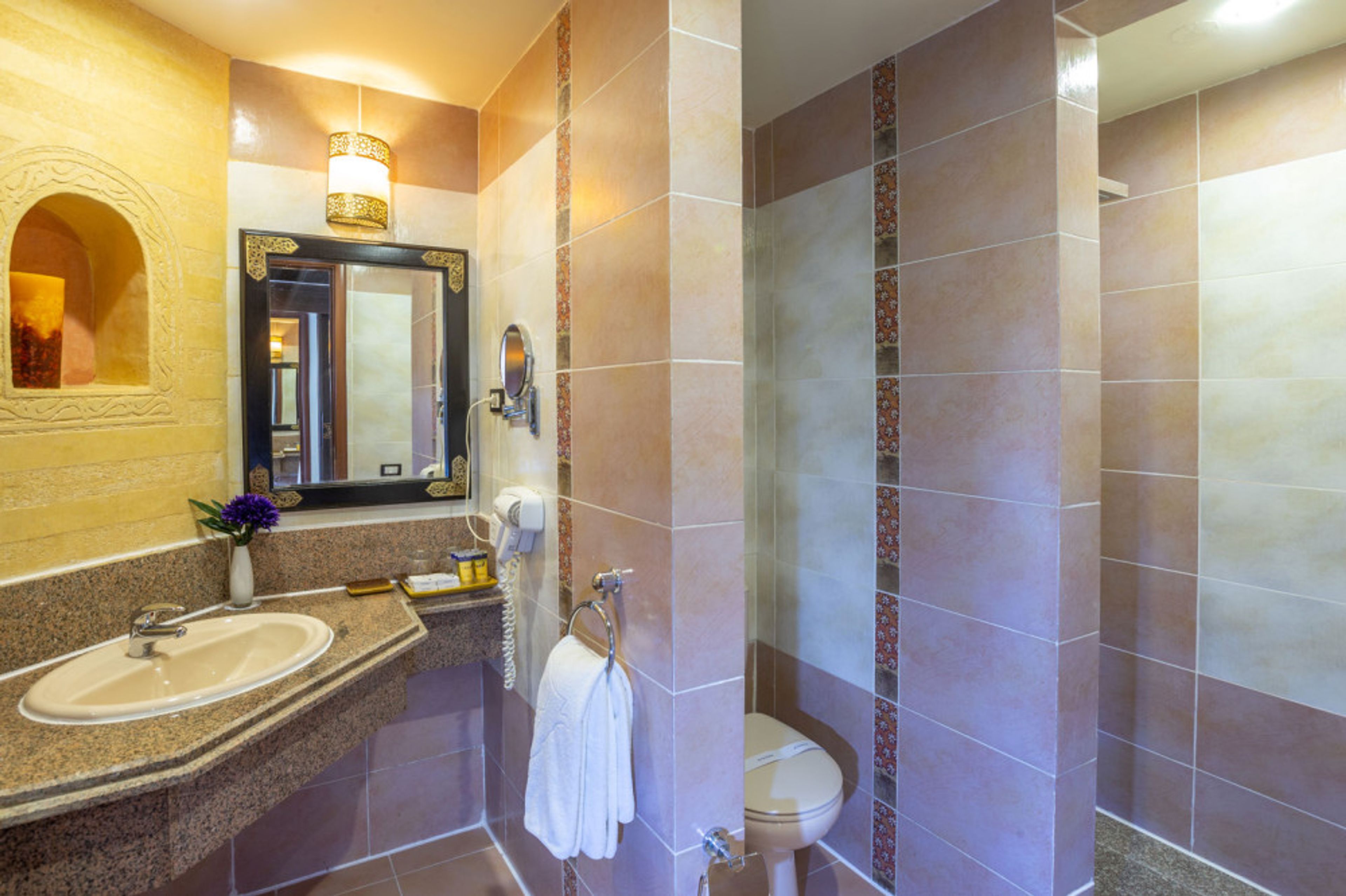 Pickalbatros Palace Resort foto 4