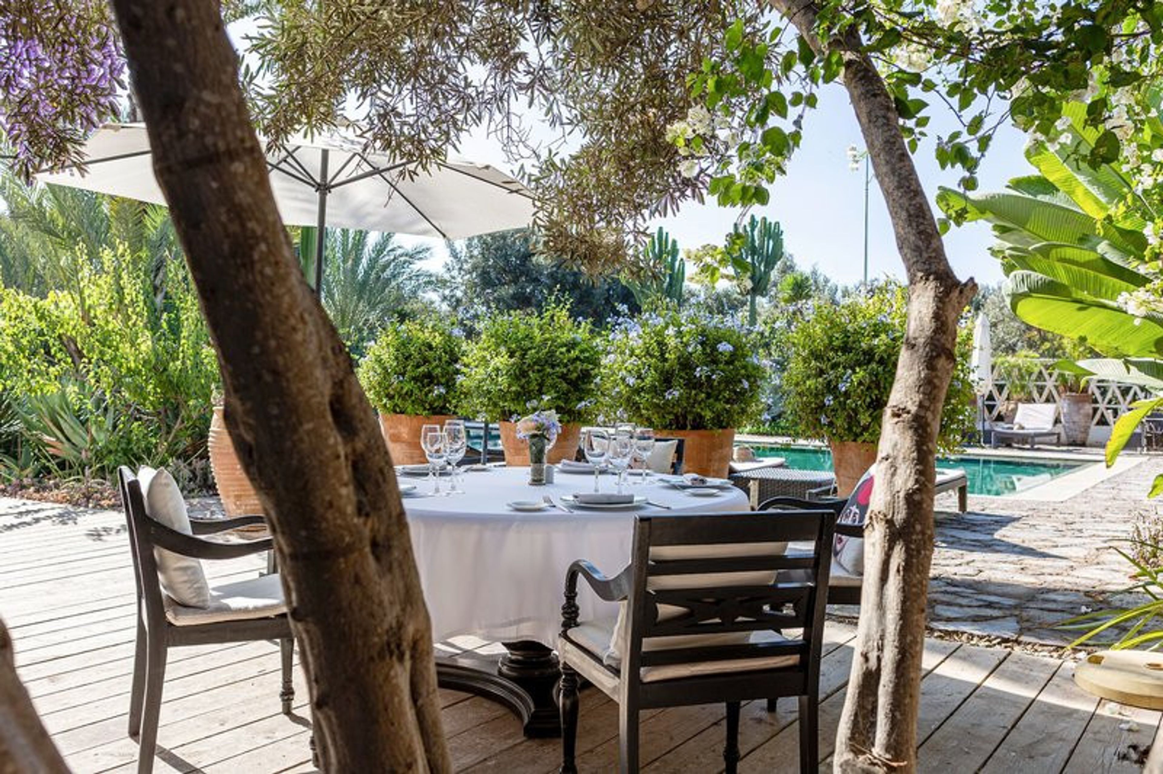 Riad Villa Blanche foto 4