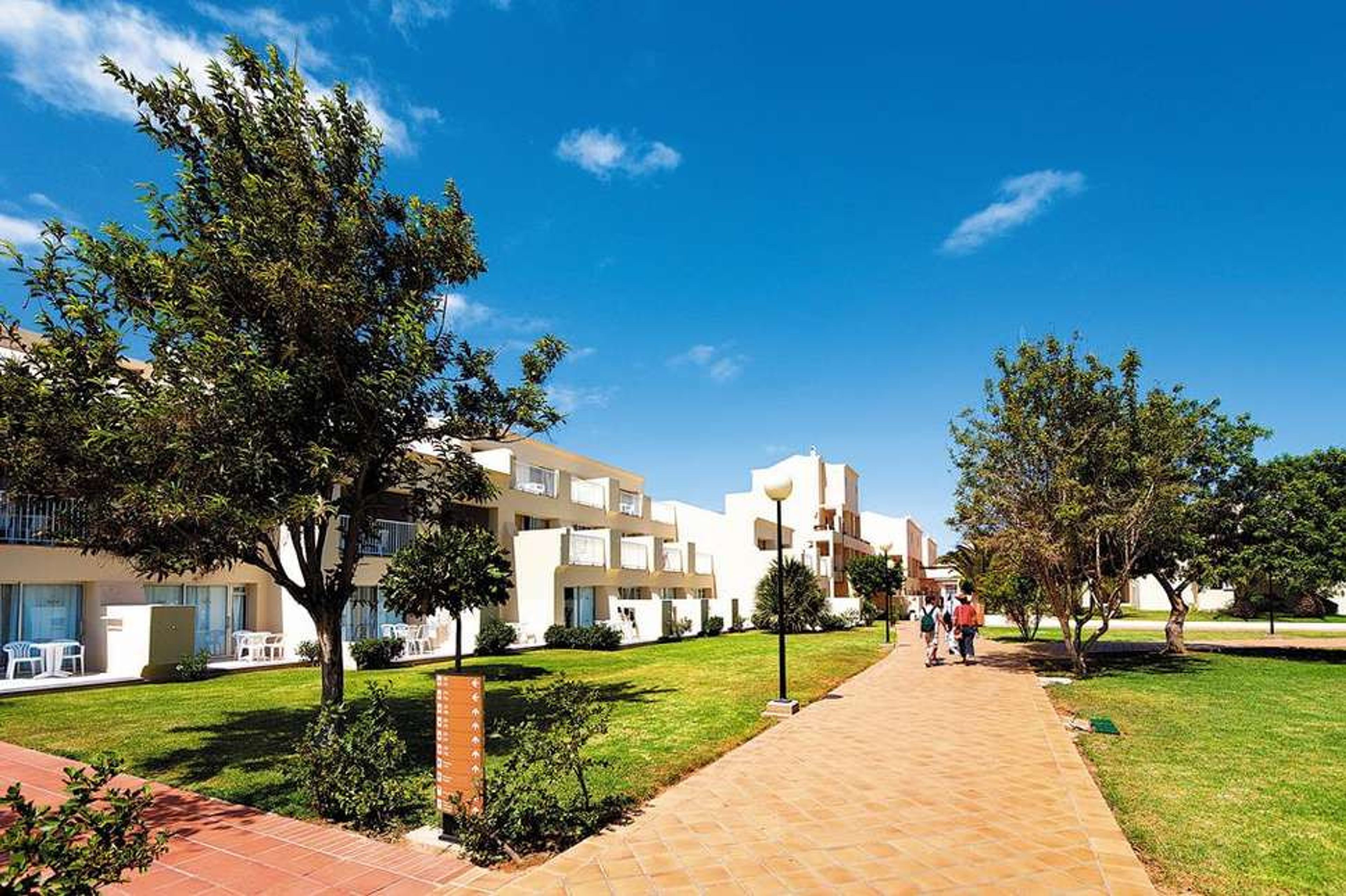 RIU Oliva Beach Resort foto 4