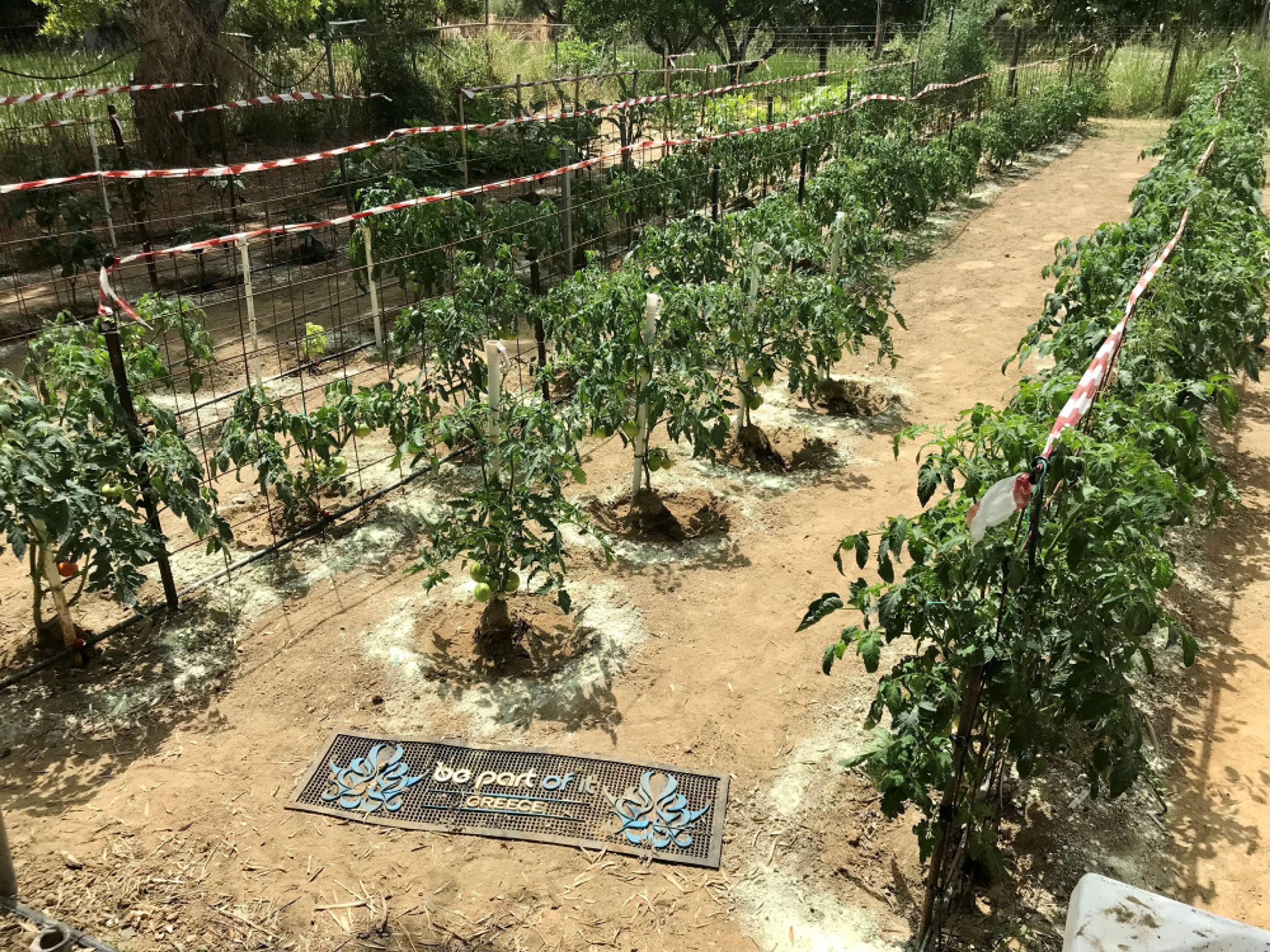 Suites Mon Repo foto 3