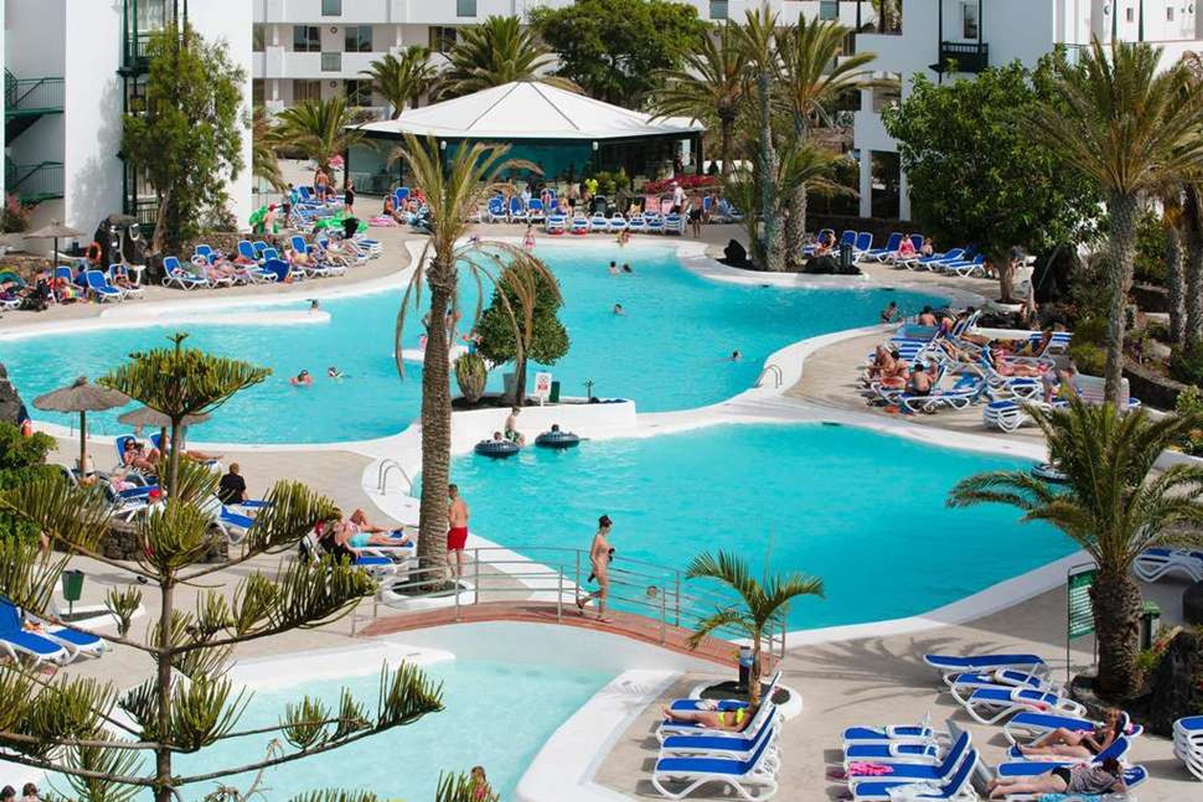 Suneo El Trebol foto 1