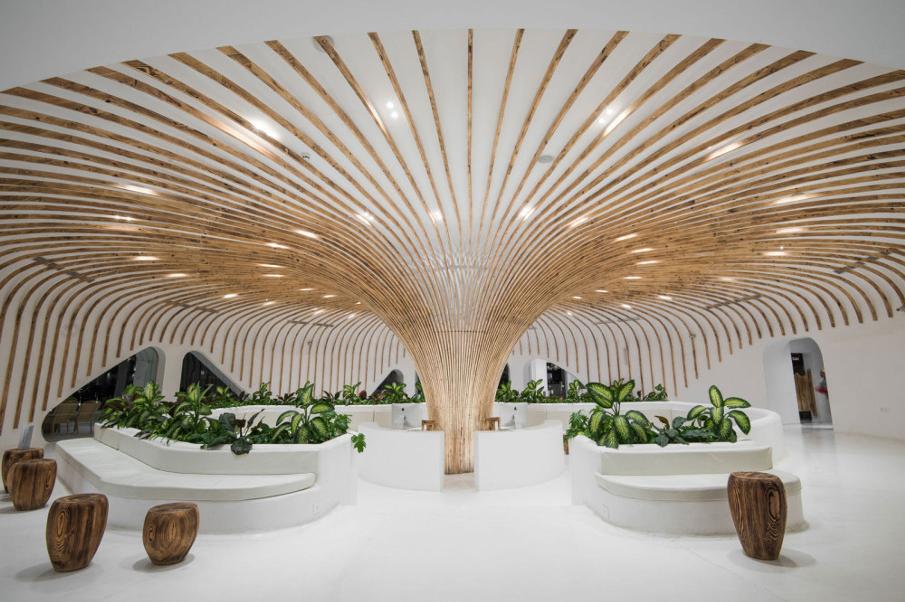 Sunrise Meraki Resort foto 2