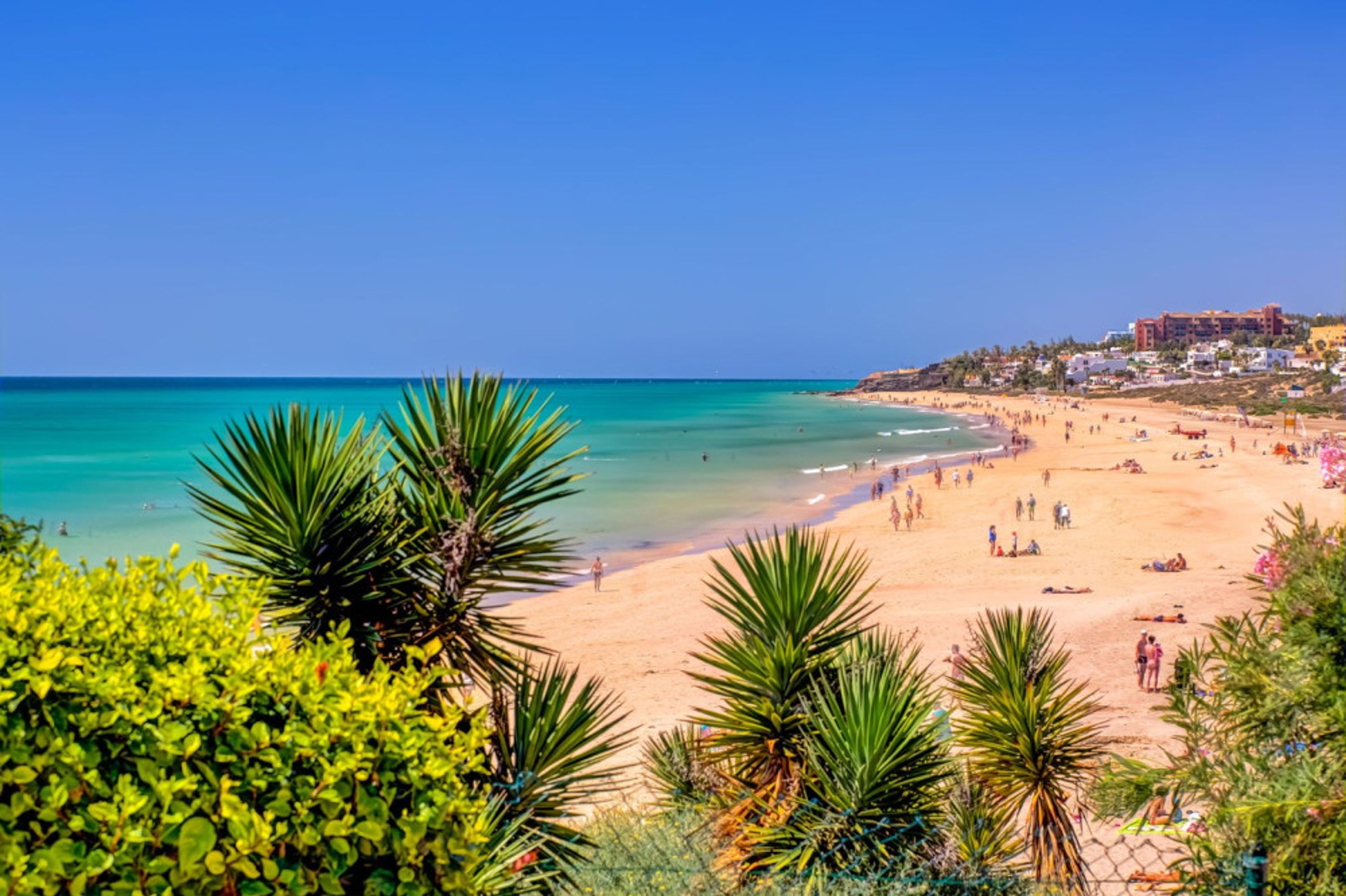 SBH Taro Beach foto 1