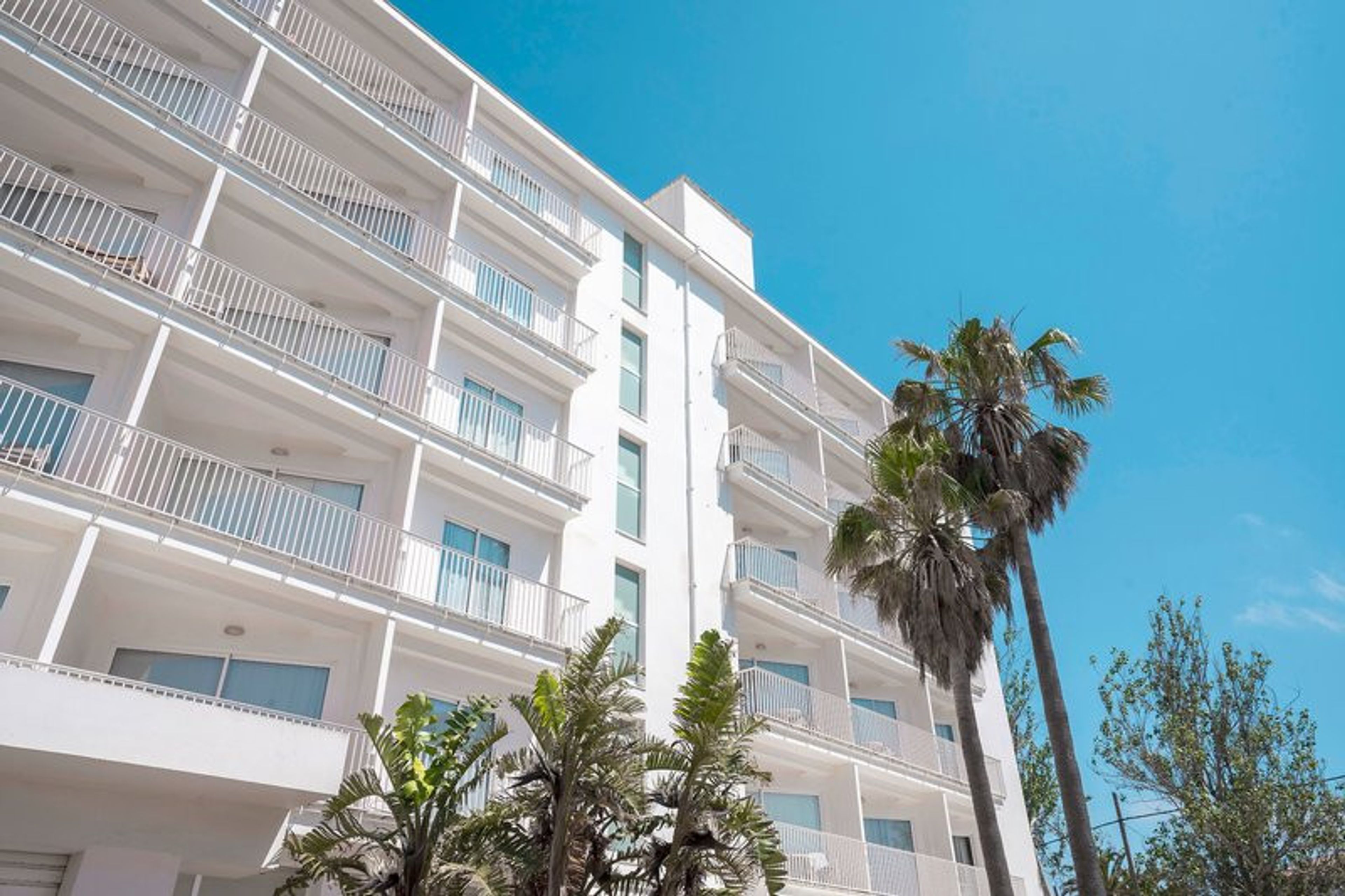 Seth Agamenon foto 4