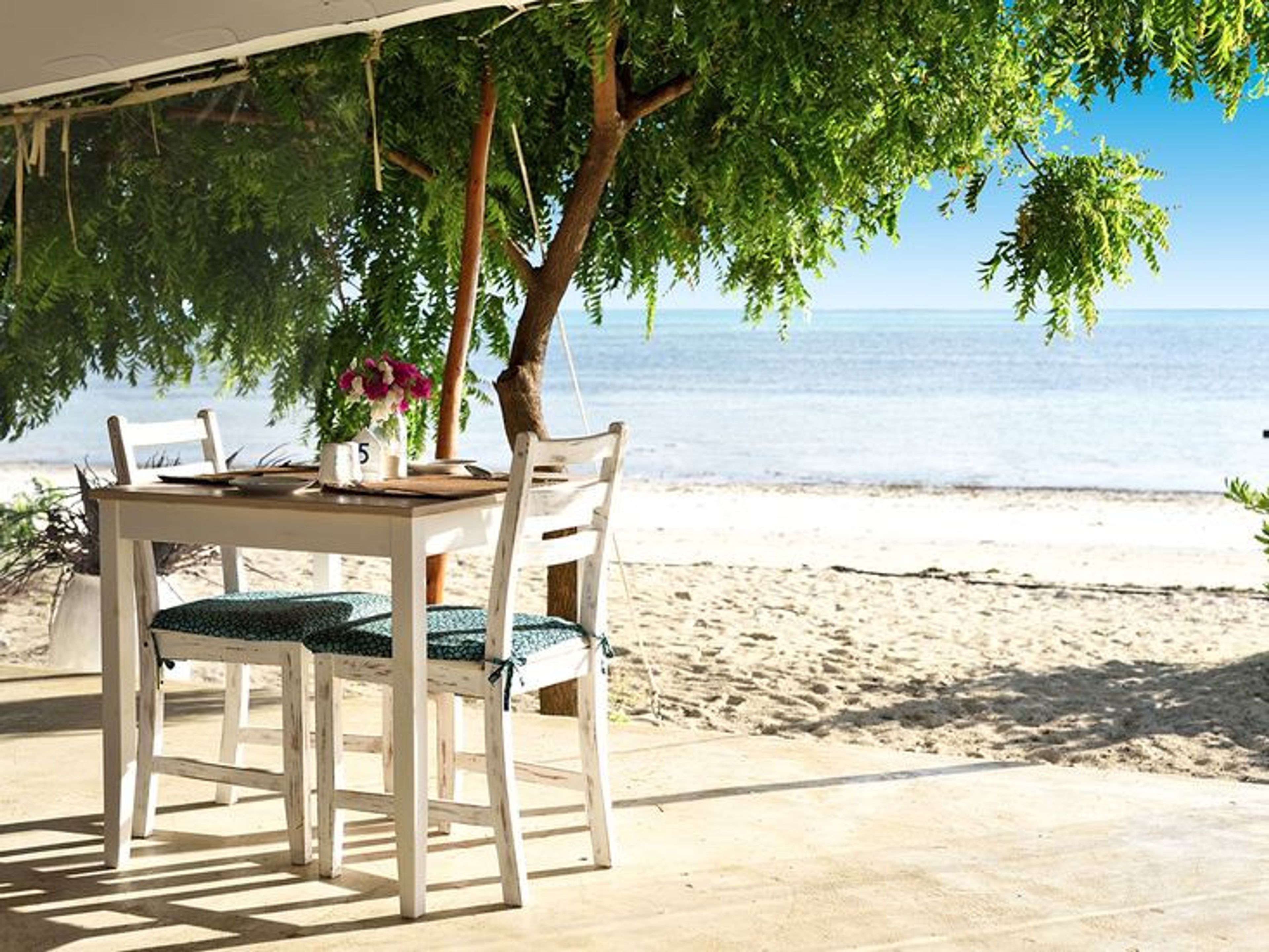 Sharazad Oasis Retreat foto 3