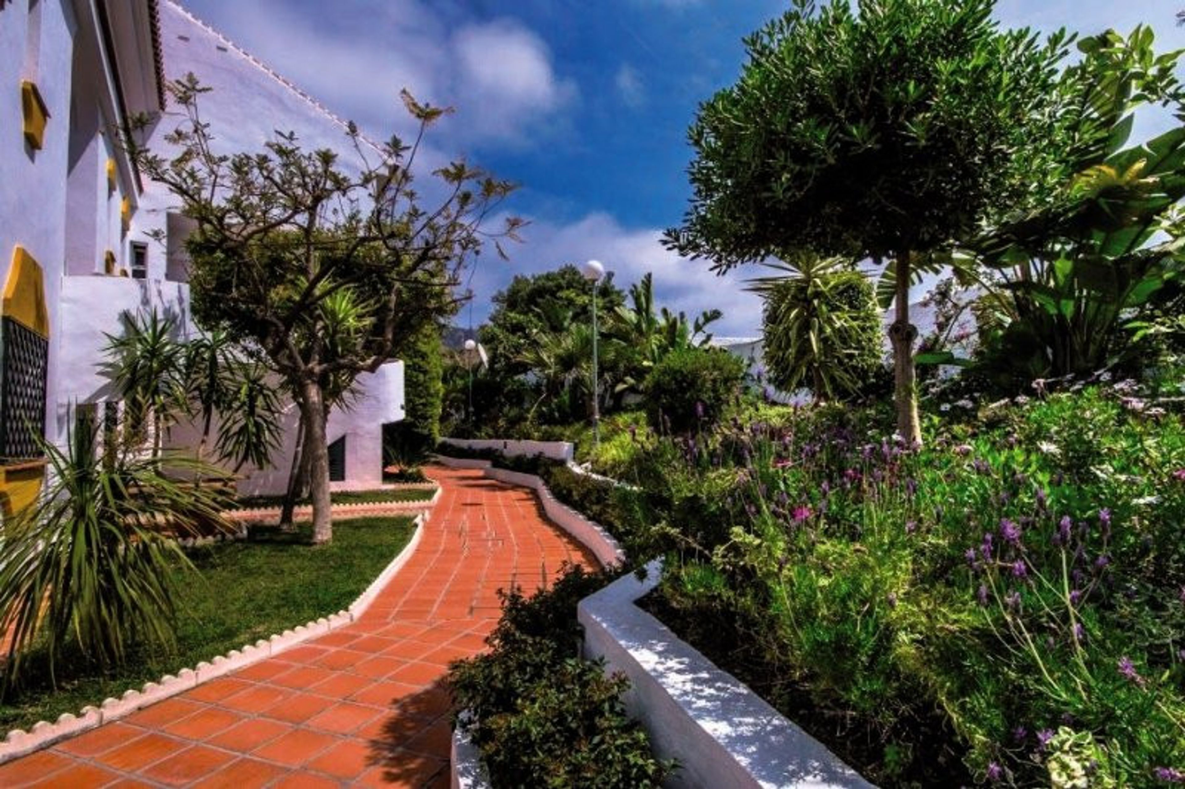 Turisticos Las Rosas de Capistrano foto 1