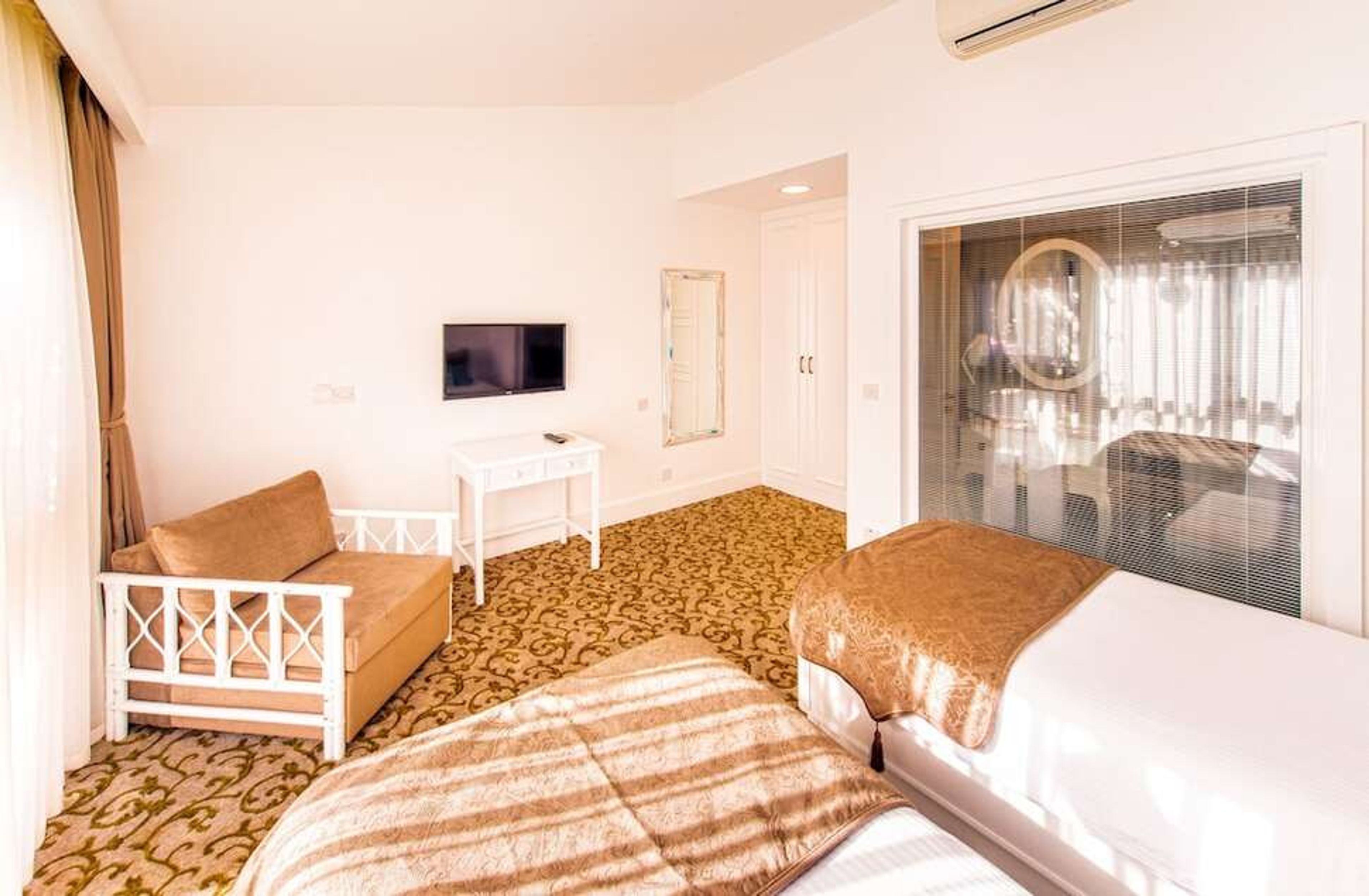 The Olive Tree foto 3