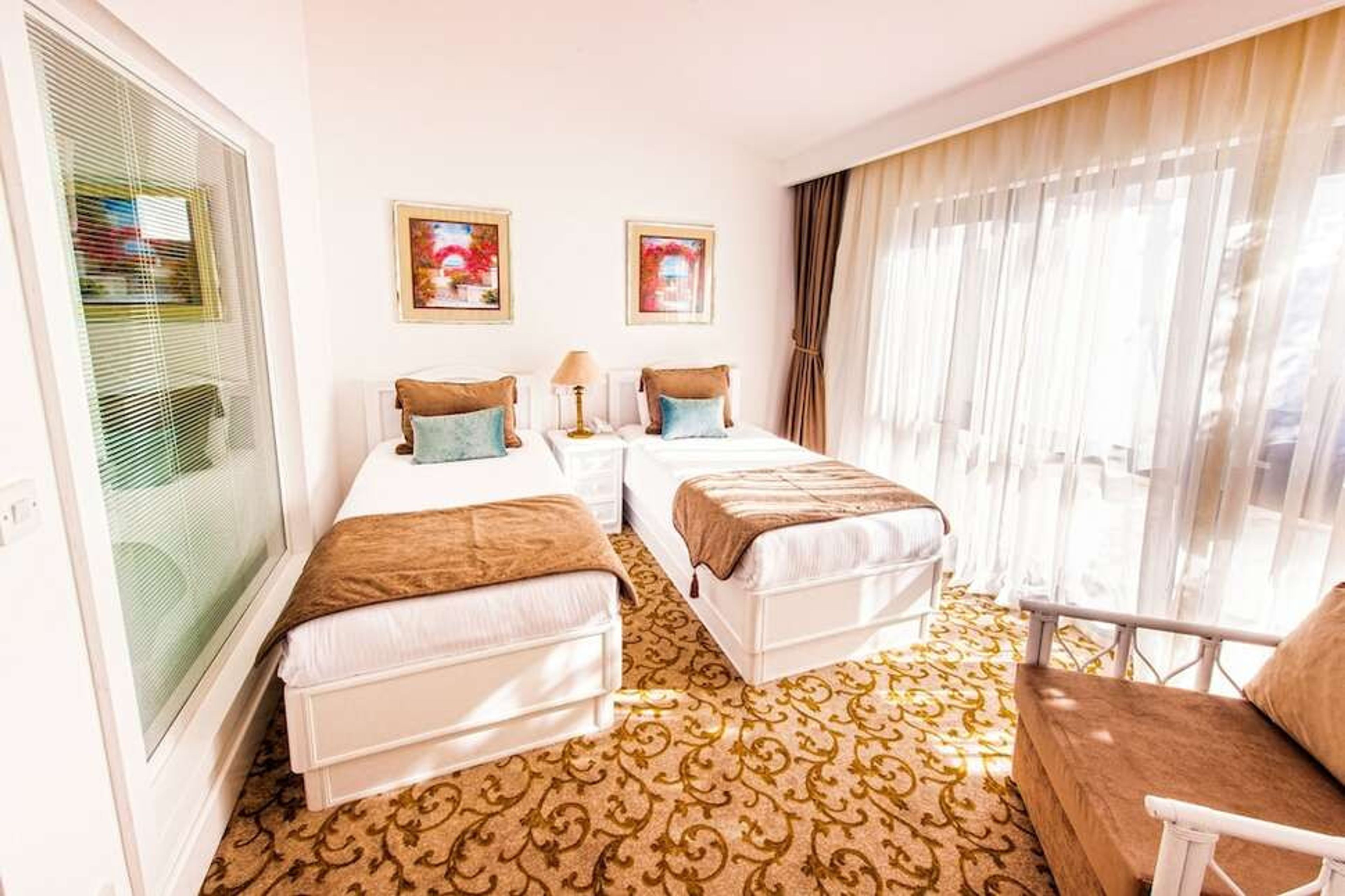 The Olive Tree foto 4