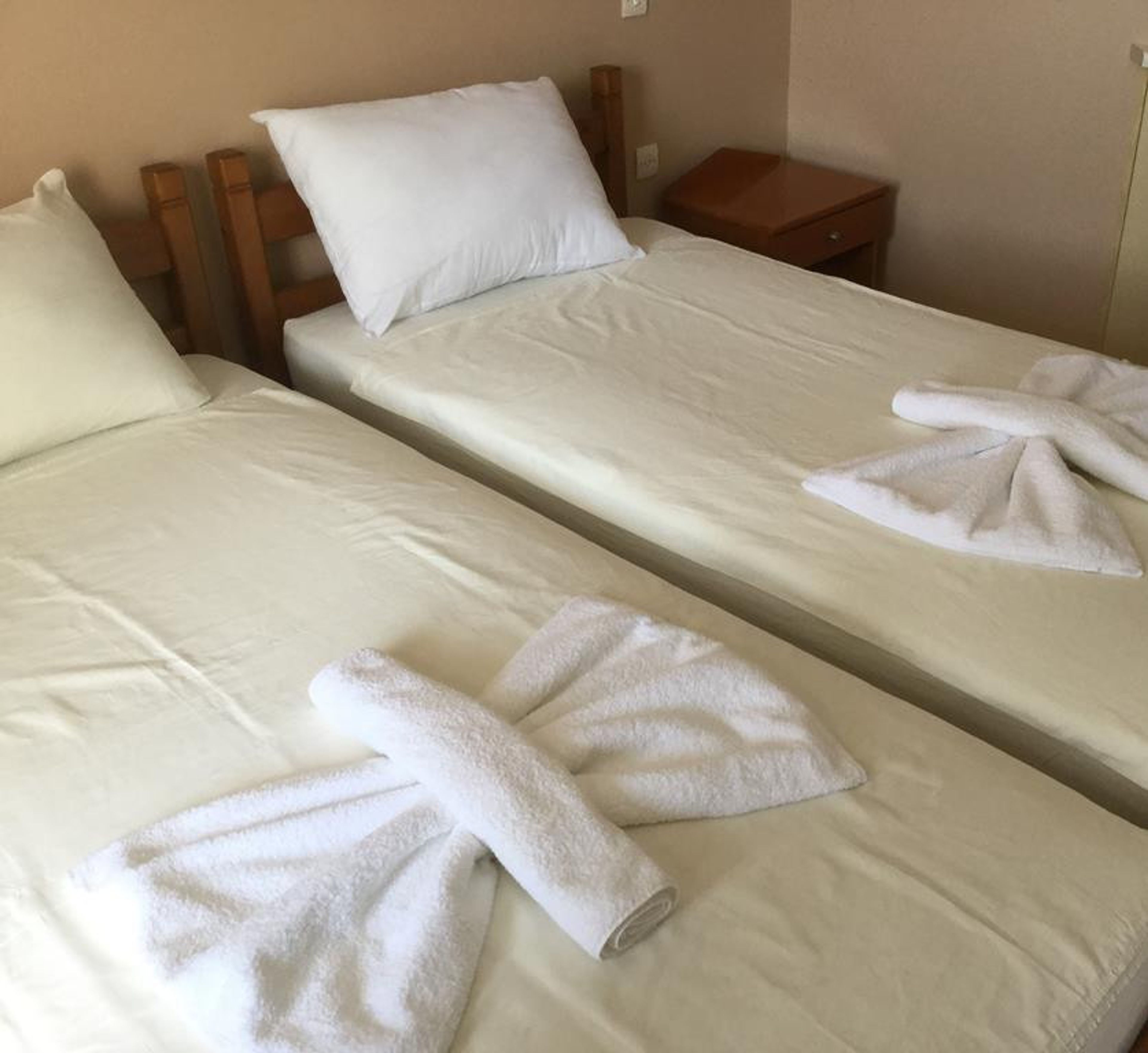 Three Dolphins foto 1