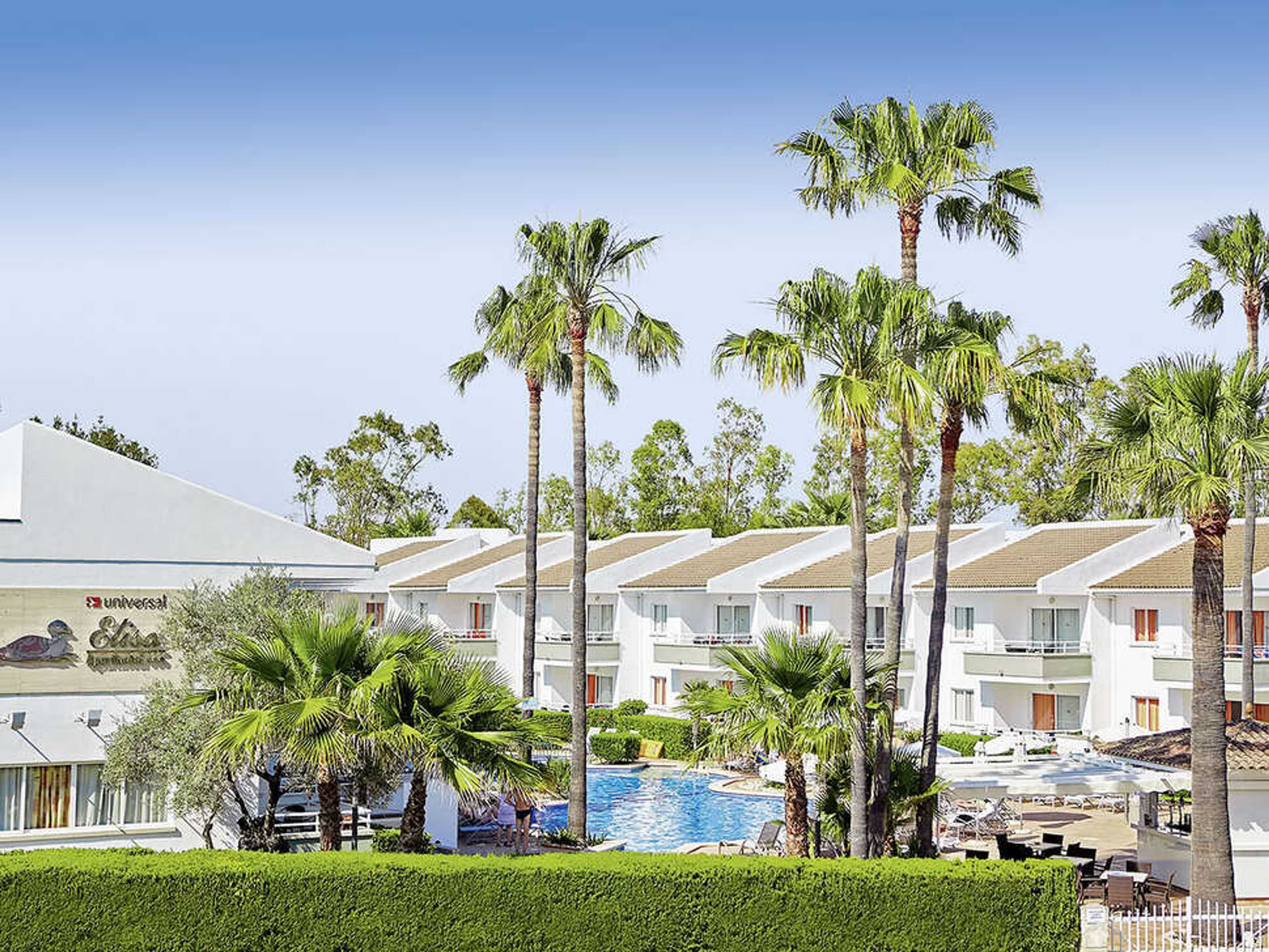 Universal Elisa foto 3